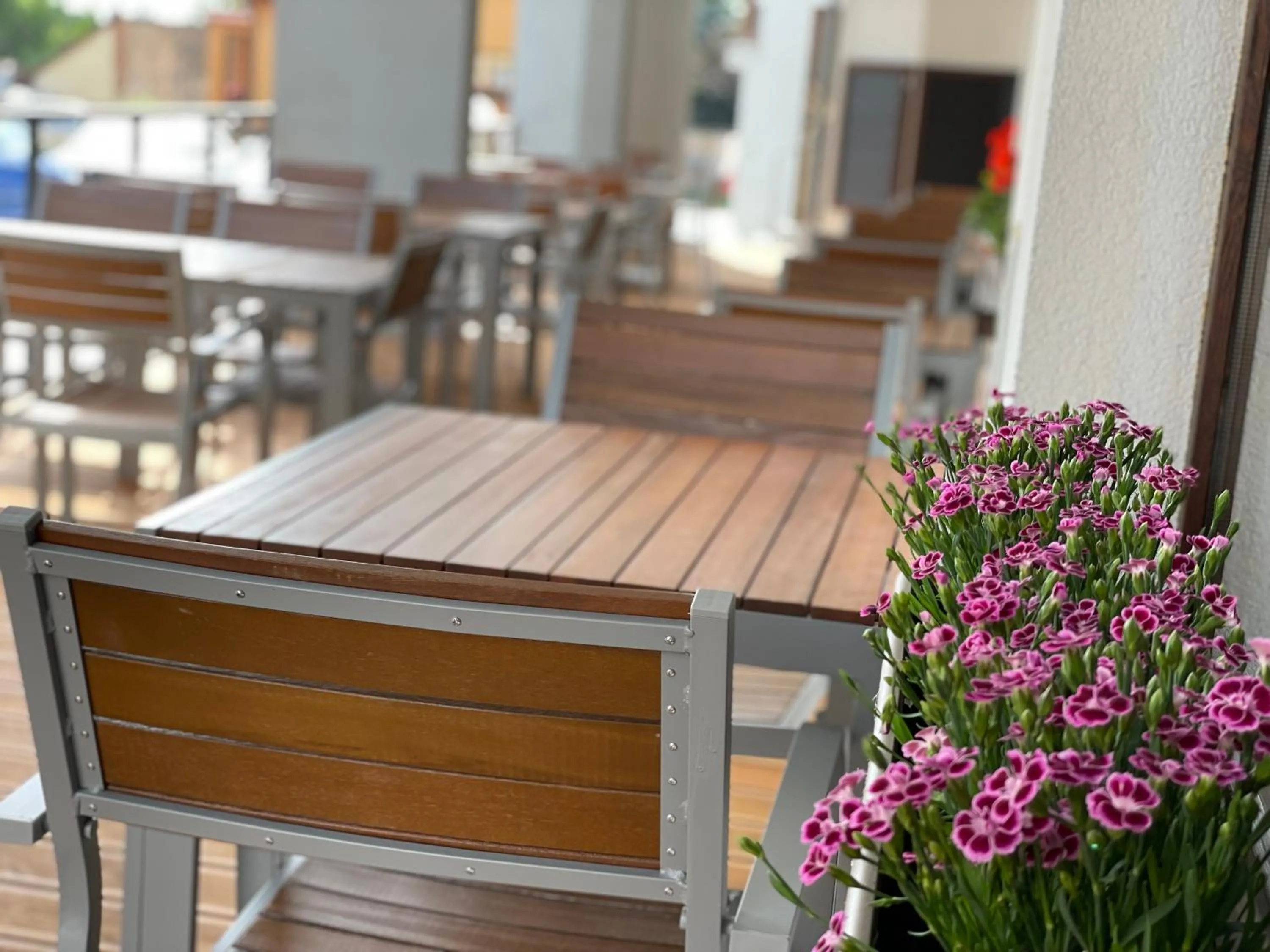 Restaurant/places to eat in Hotel Laguna & restaurant