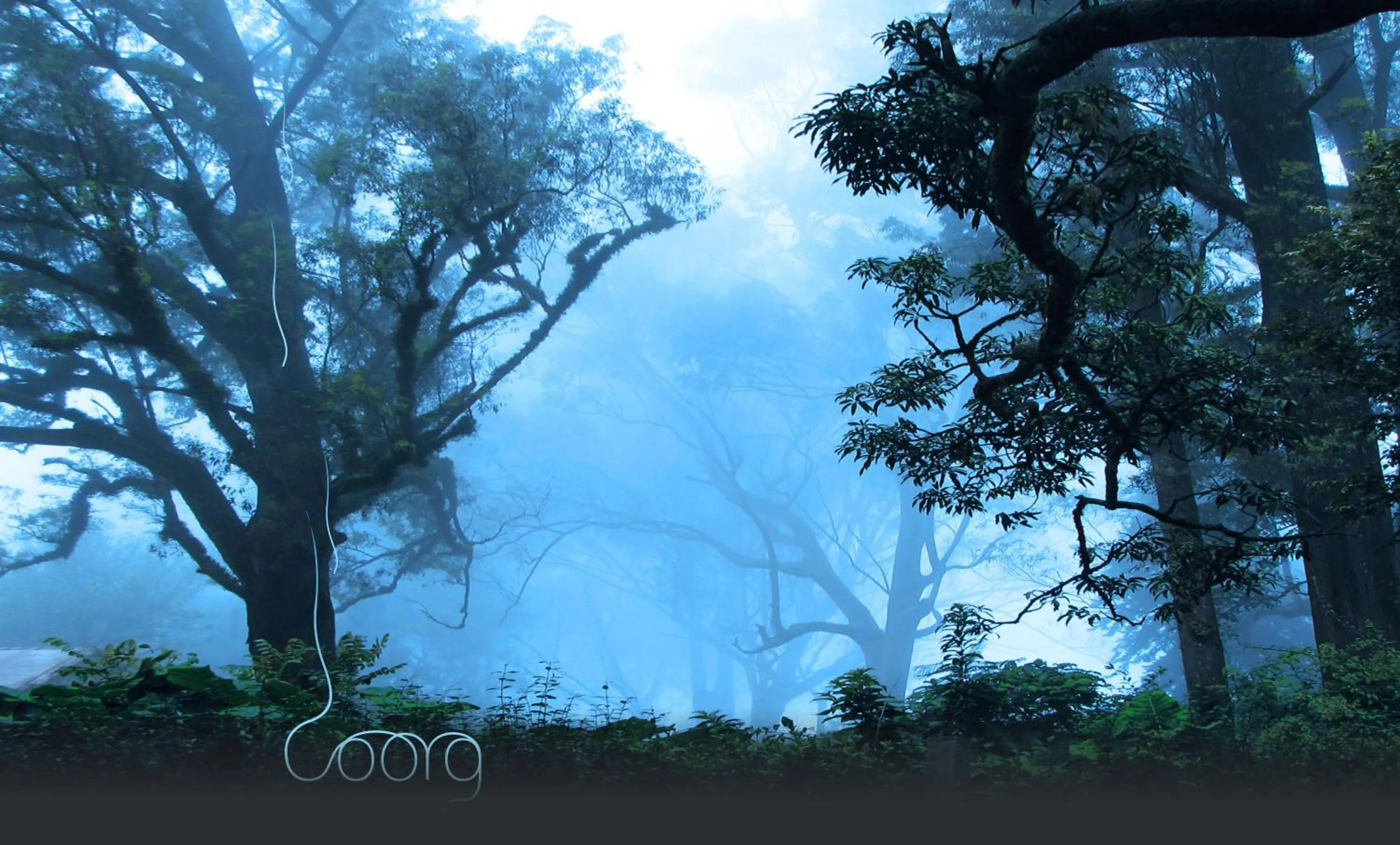 Natural landscape in Montrose Golf Resort and Spa - Coorg