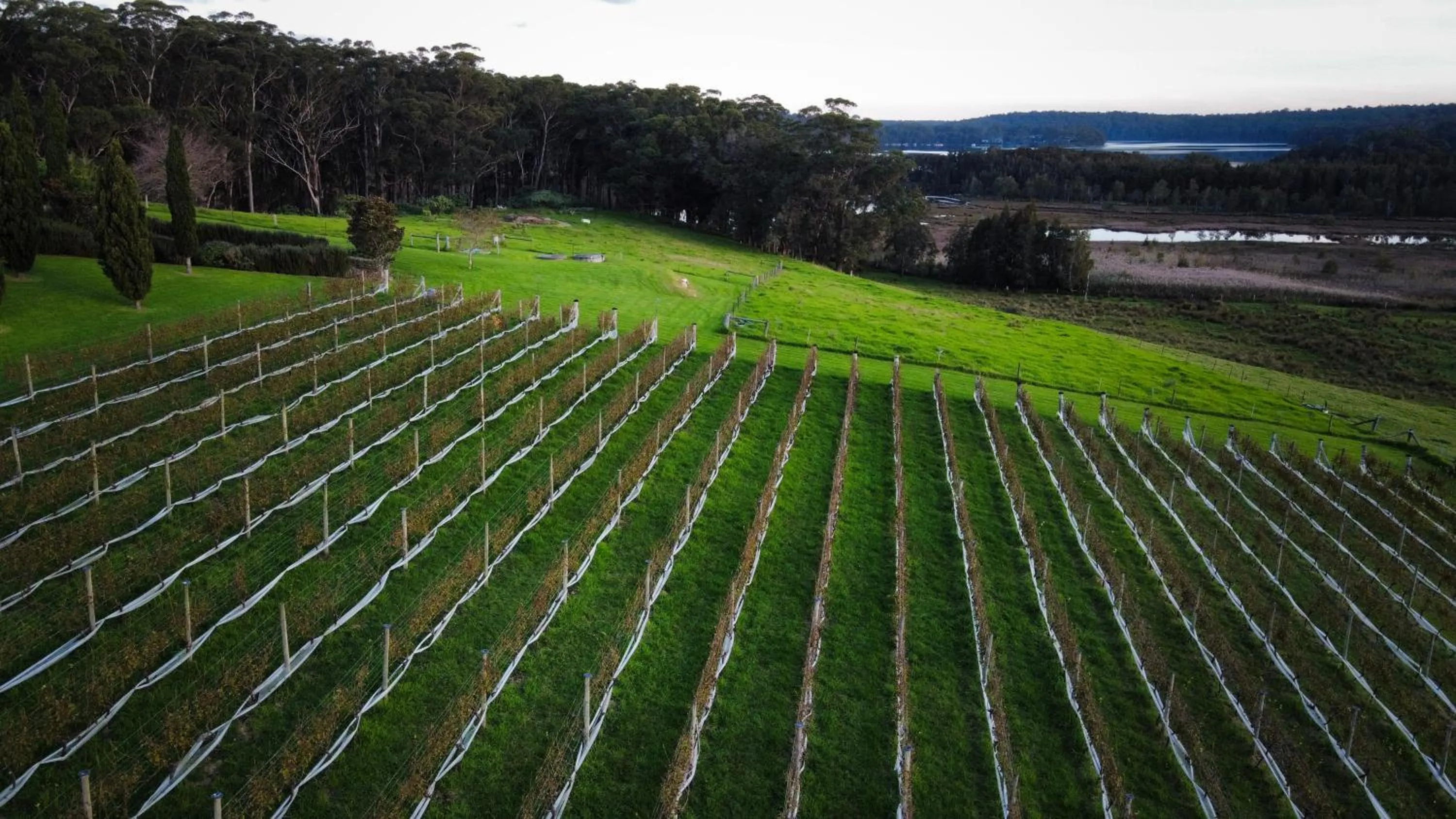 Natural landscape in Cupitt's Estate Villas