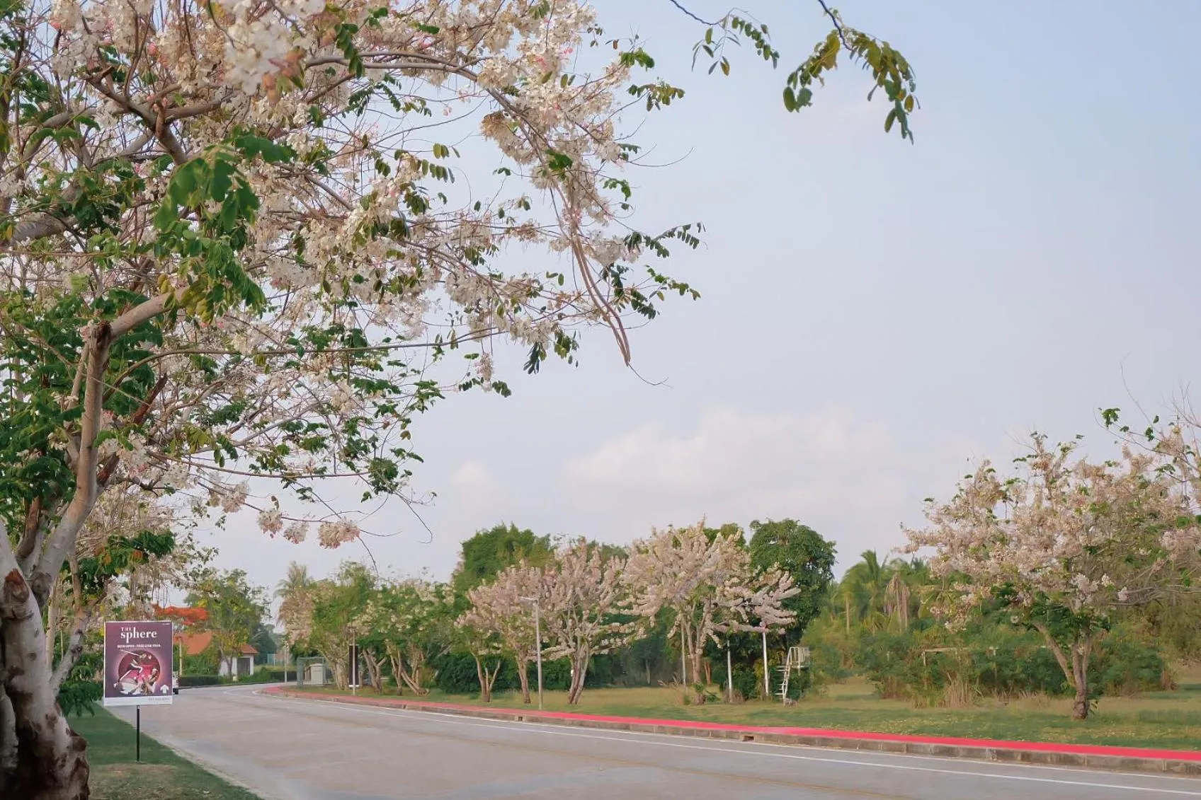 Natural landscape in Seastar Hotel and Service Apartment