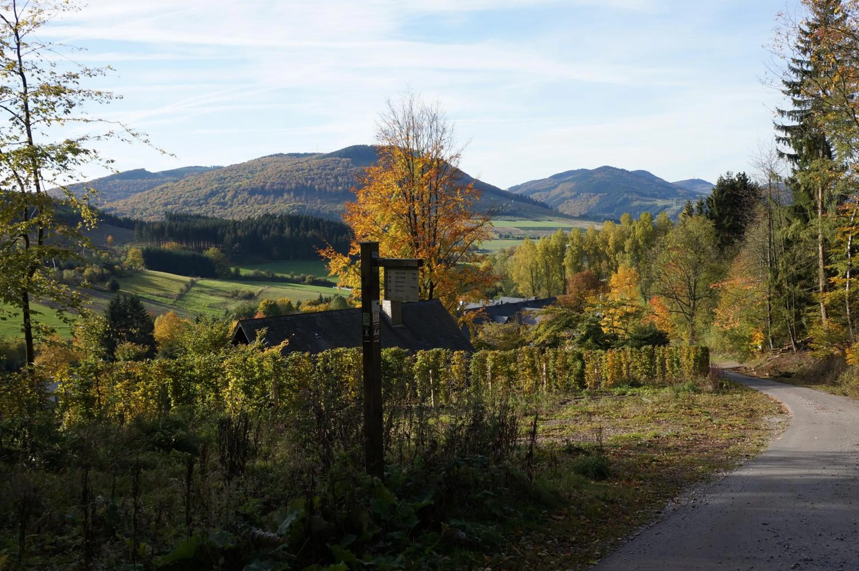 Autumn in Waldhotel Schinkenwirt