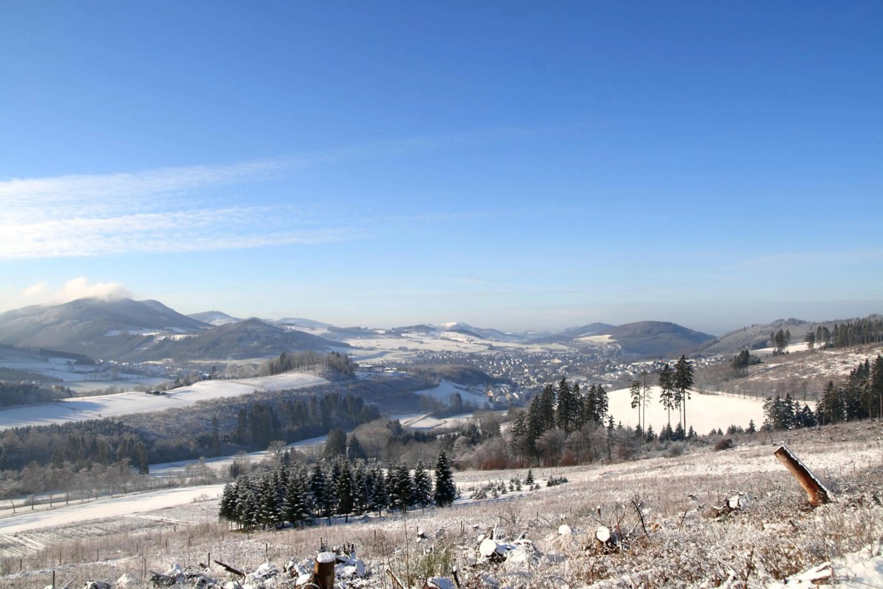 Area and facilities in Waldhotel Schinkenwirt