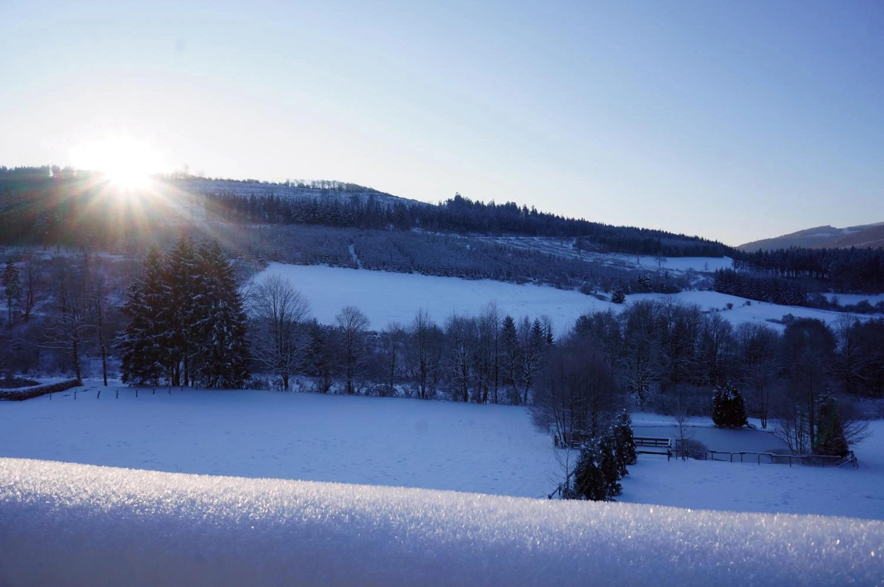 Area and facilities in Waldhotel Schinkenwirt