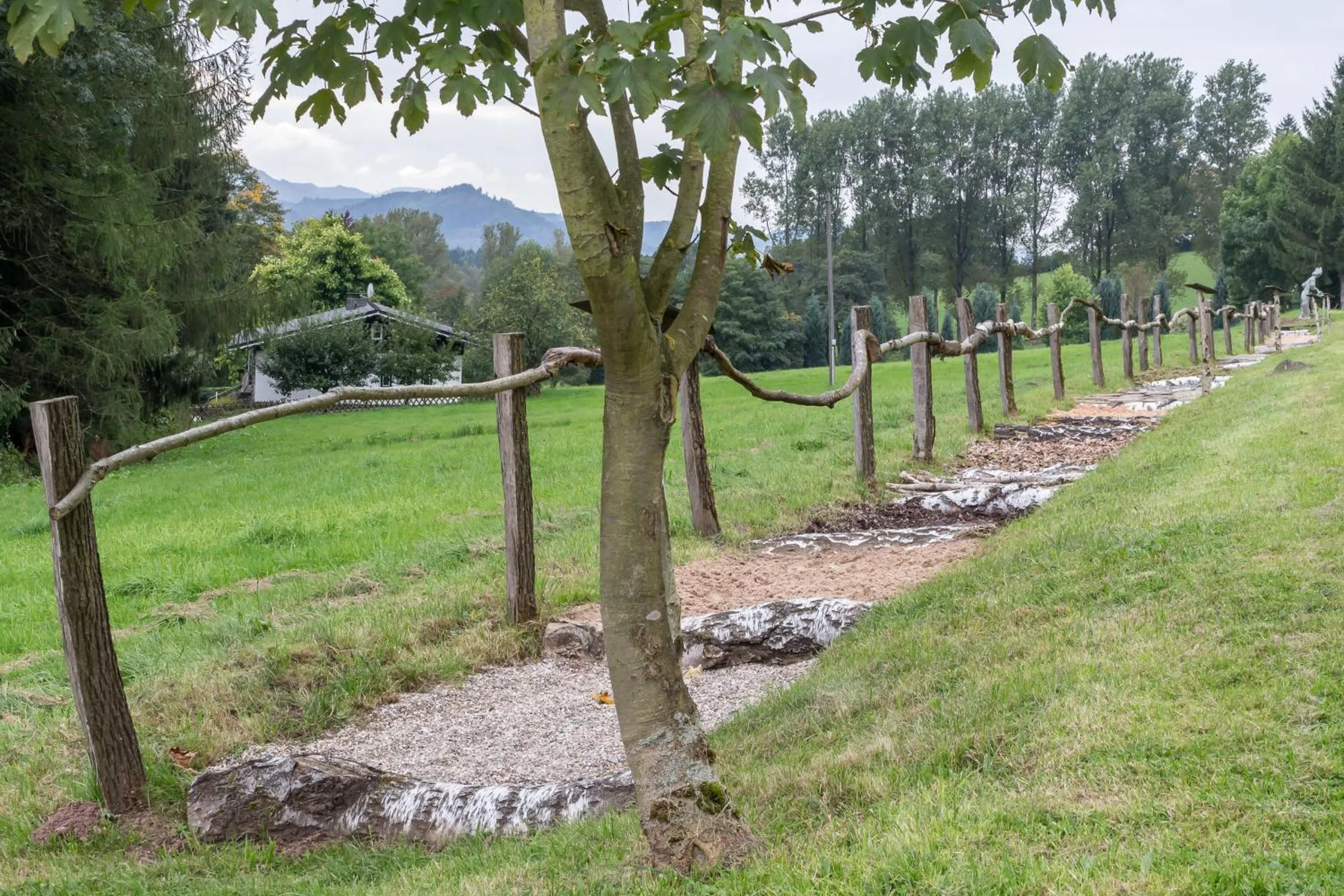 Hiking in Waldhotel Schinkenwirt