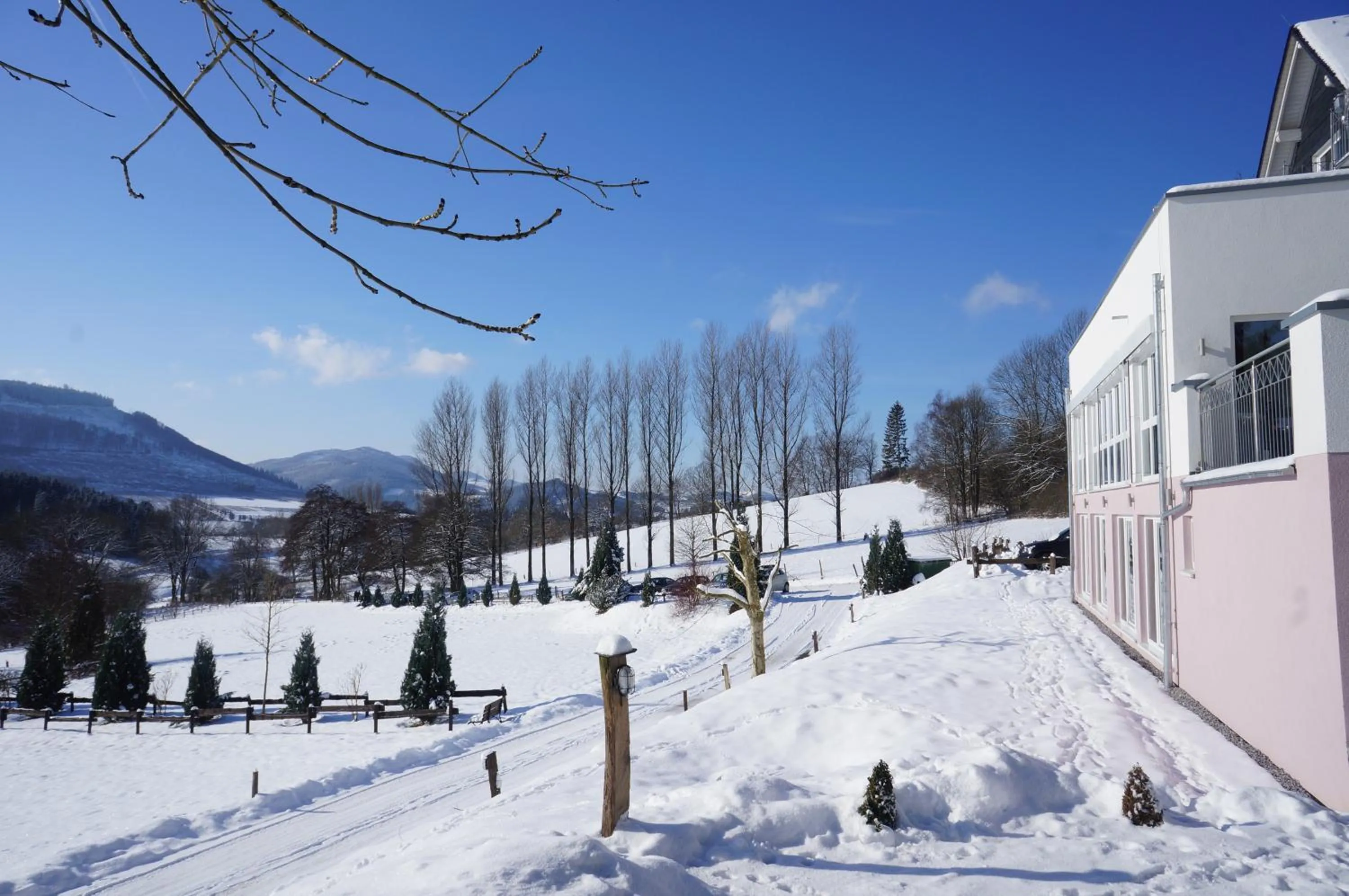 Area and facilities in Waldhotel Schinkenwirt