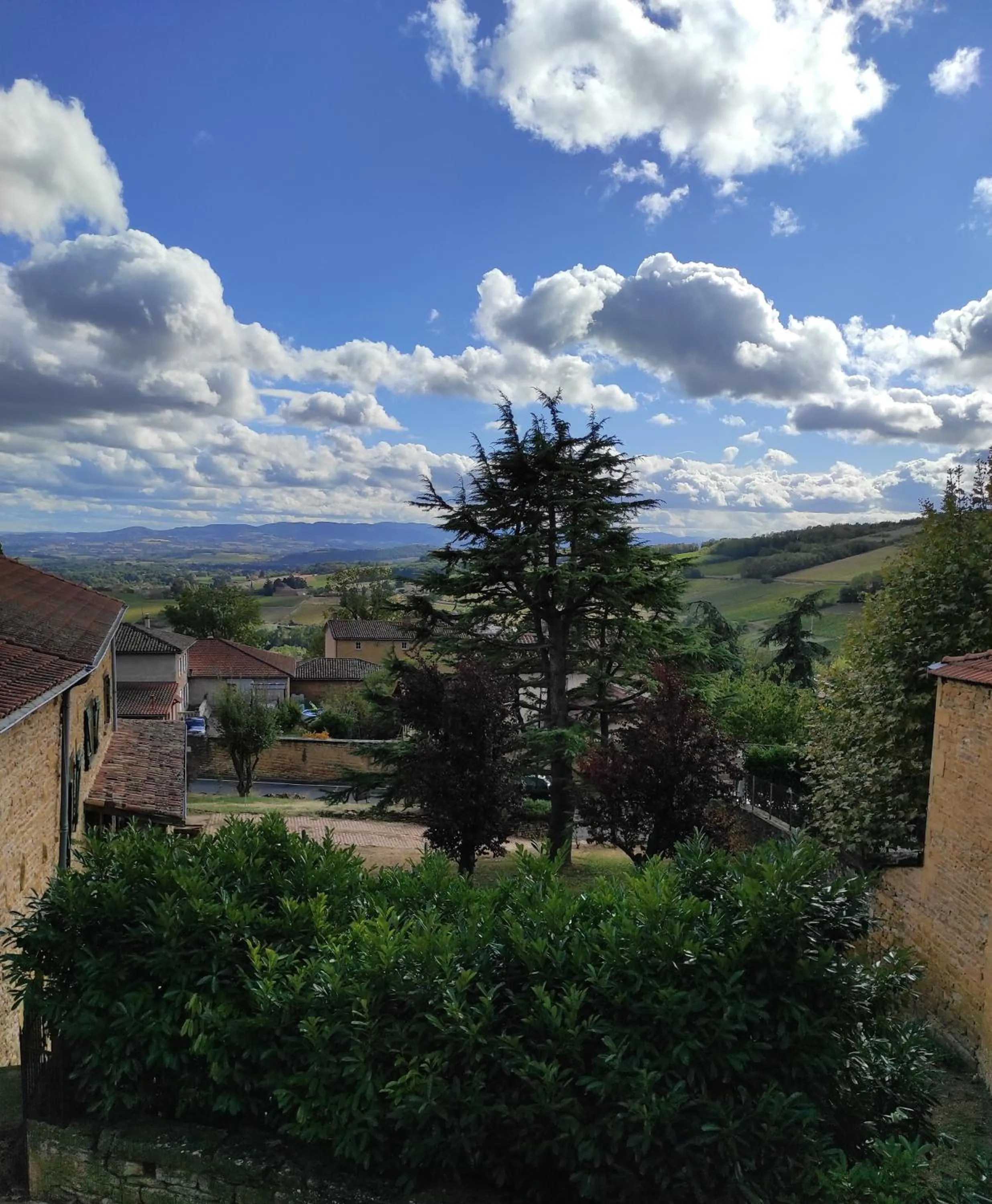 Garden view in Appartement Bagnols - Les Meublés des Pierres Dorées