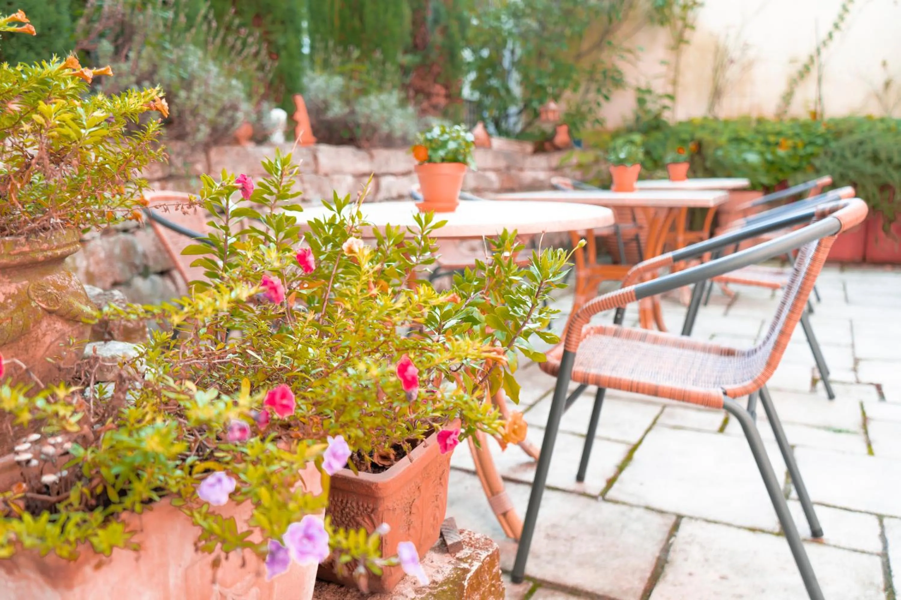 Garden view in Villa Benz Hotel garni