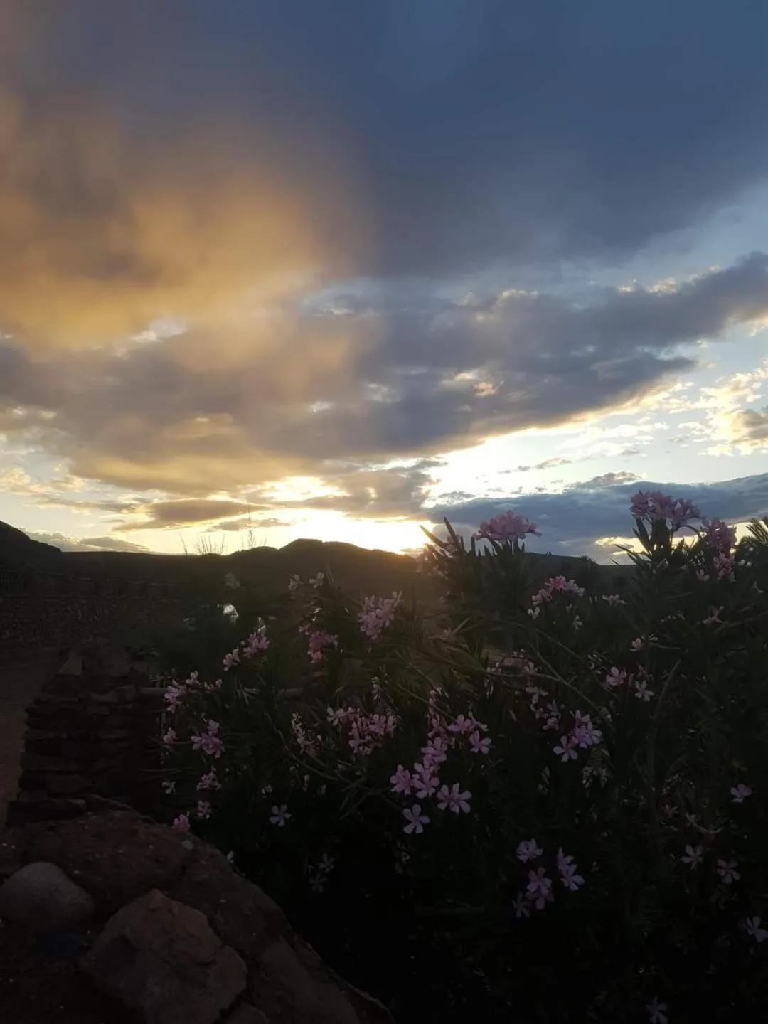 ecolodge bivouac des aigles