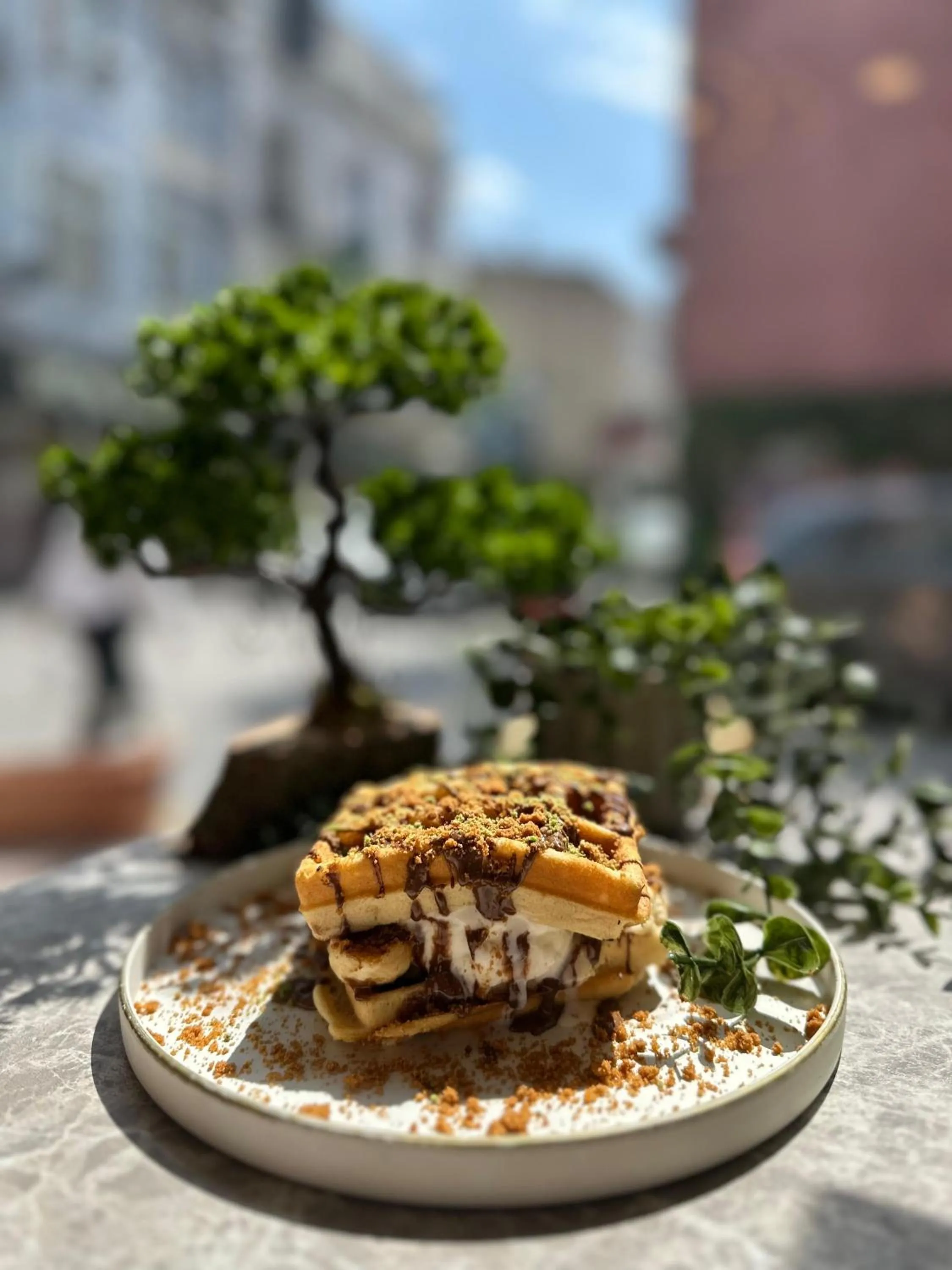 Restaurant/places to eat in Guler Palas Hotel