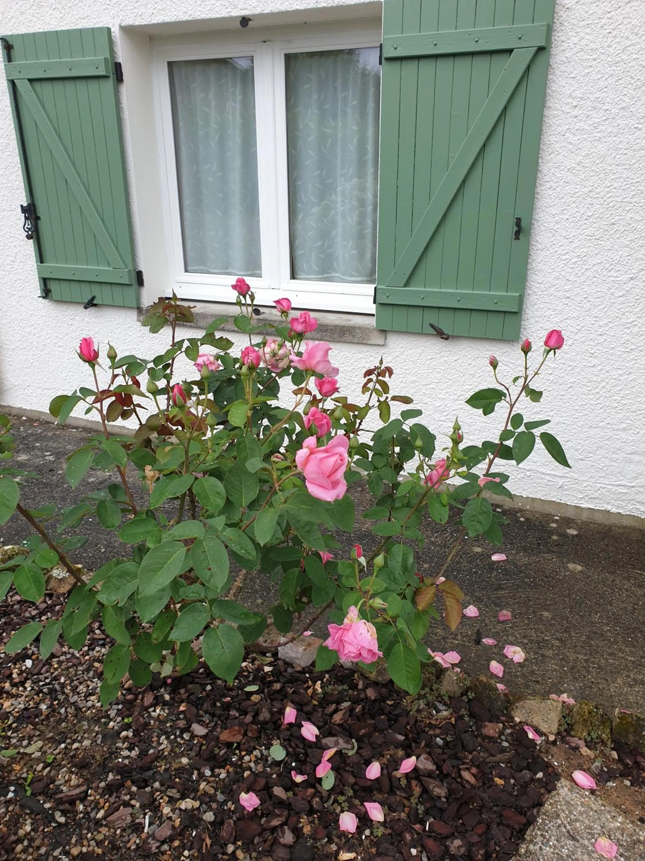 Garden in Les érables
