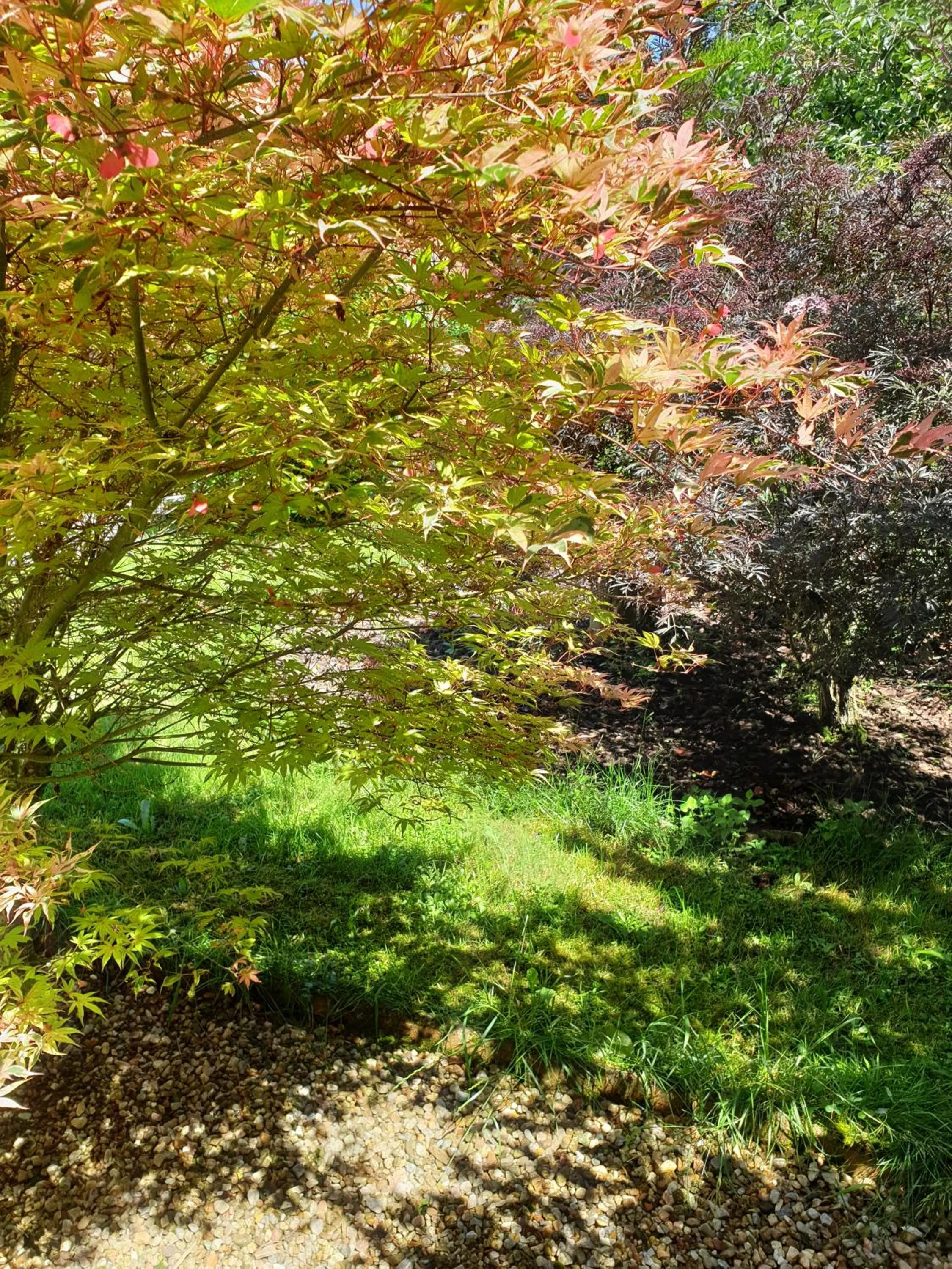 Garden in Les érables