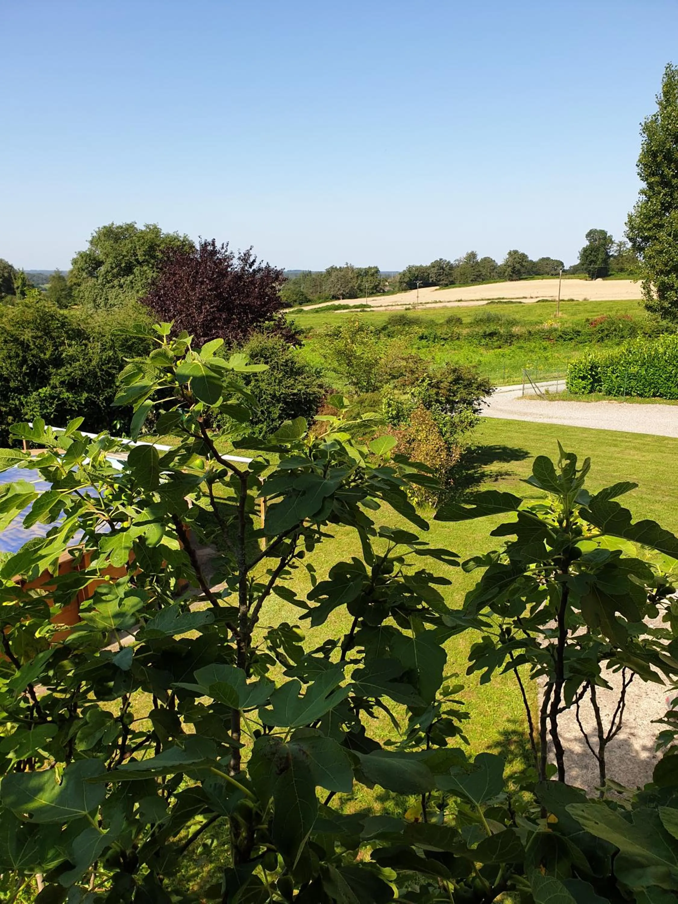 Natural landscape in Les érables
