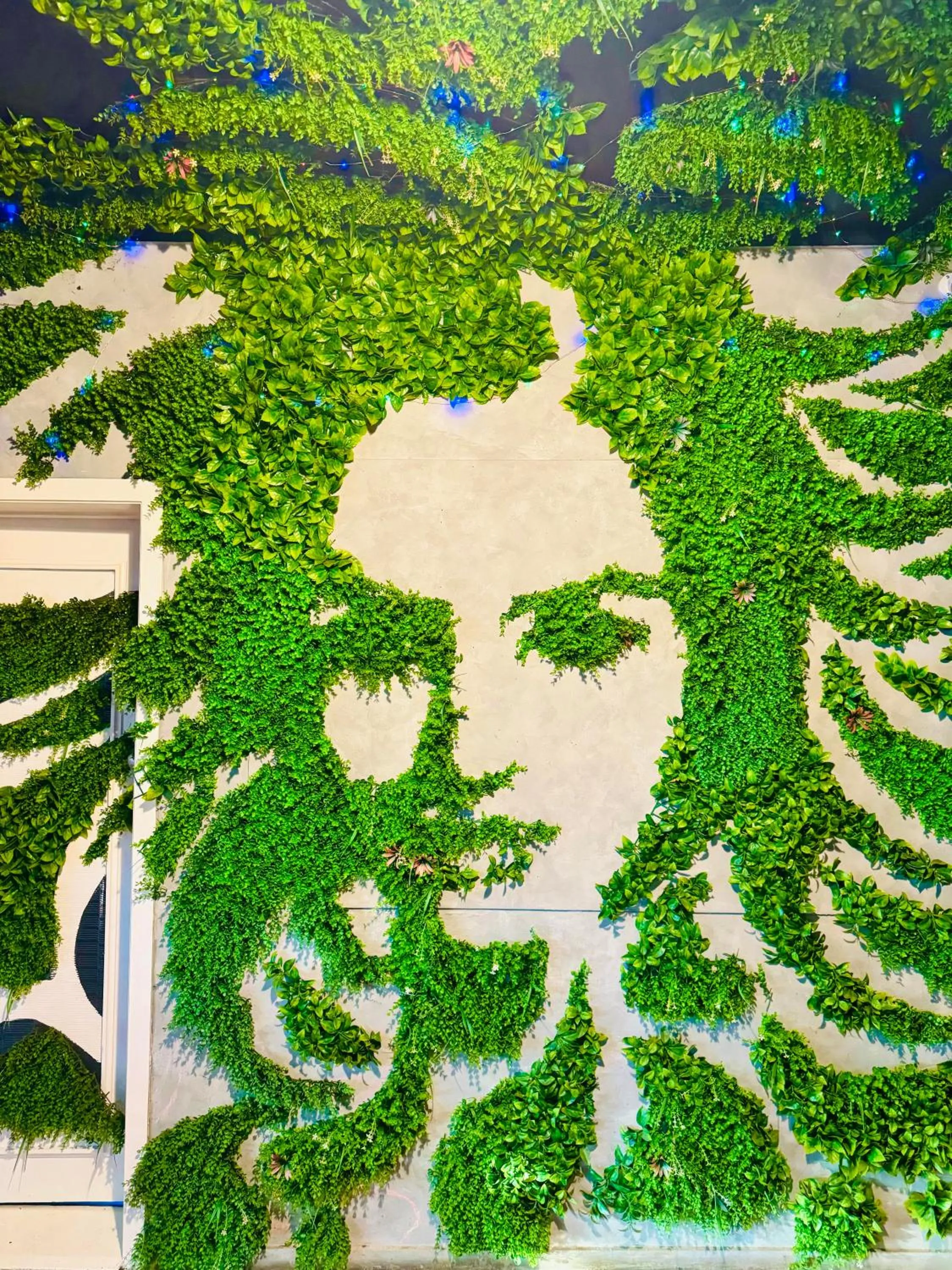 Property building in Crashpalace Backpackers