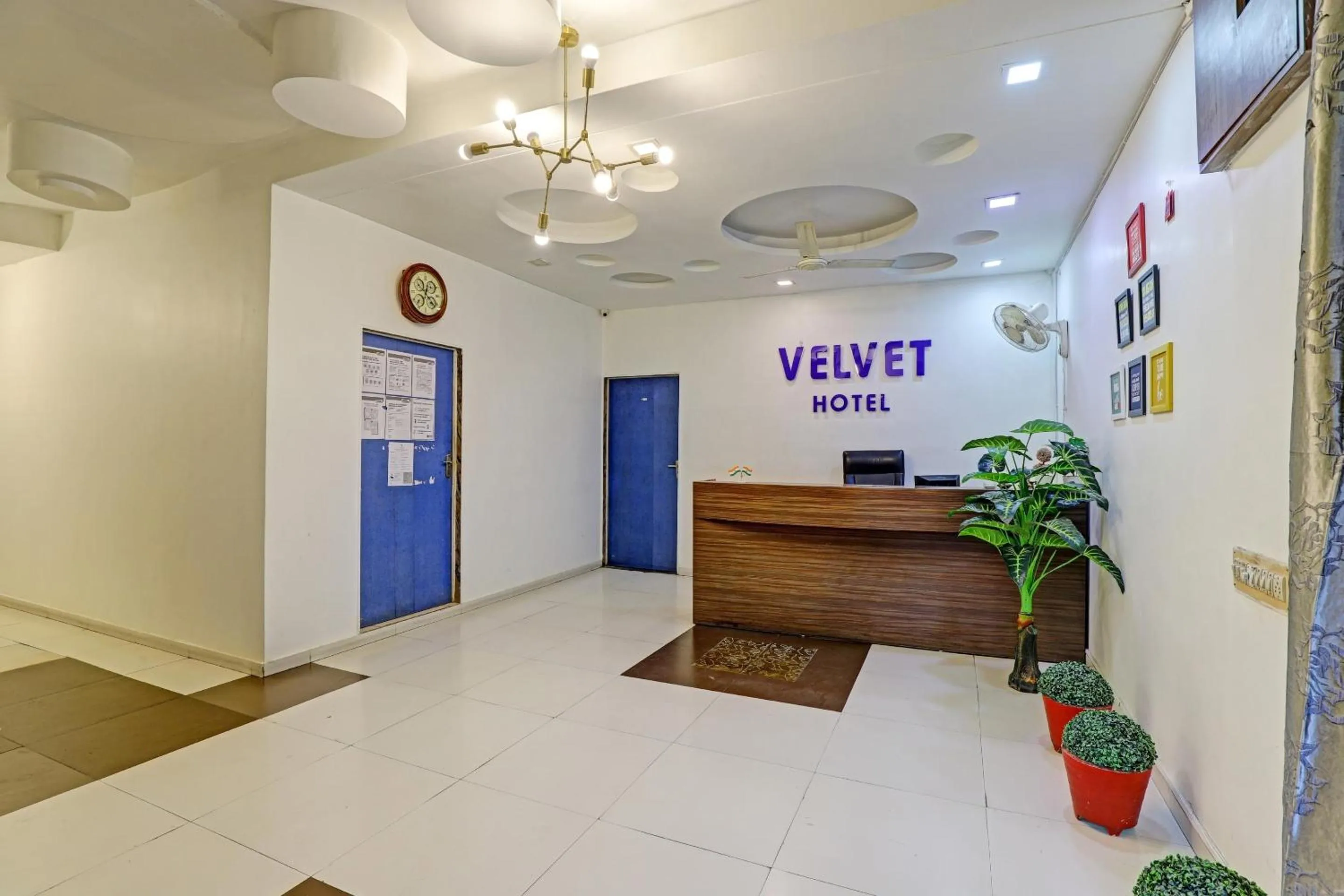 Lobby or reception in Hotel Velvet