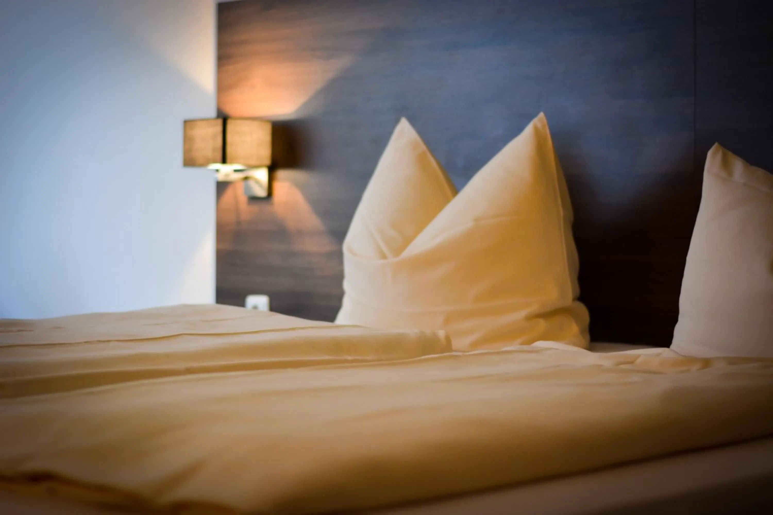 Bed in Hotel am Landeshaus