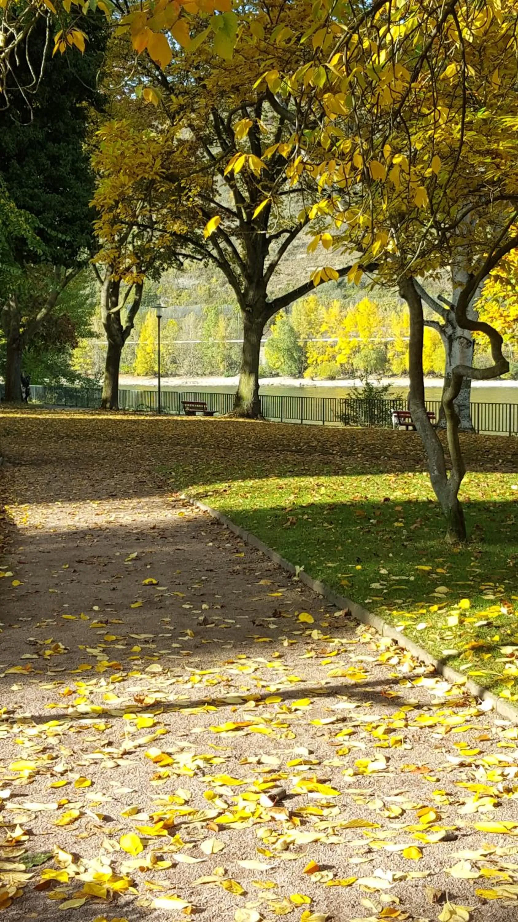 Natural landscape in Hotel Bergschlösschen