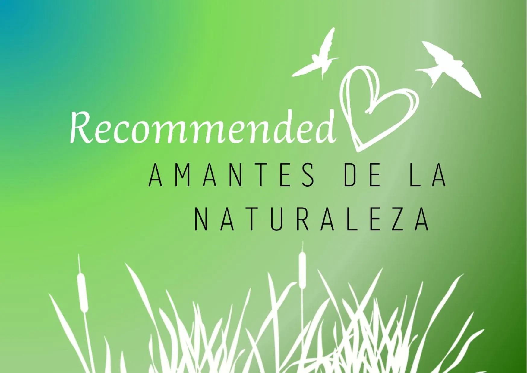 Property building in Urdaibai Bird Center