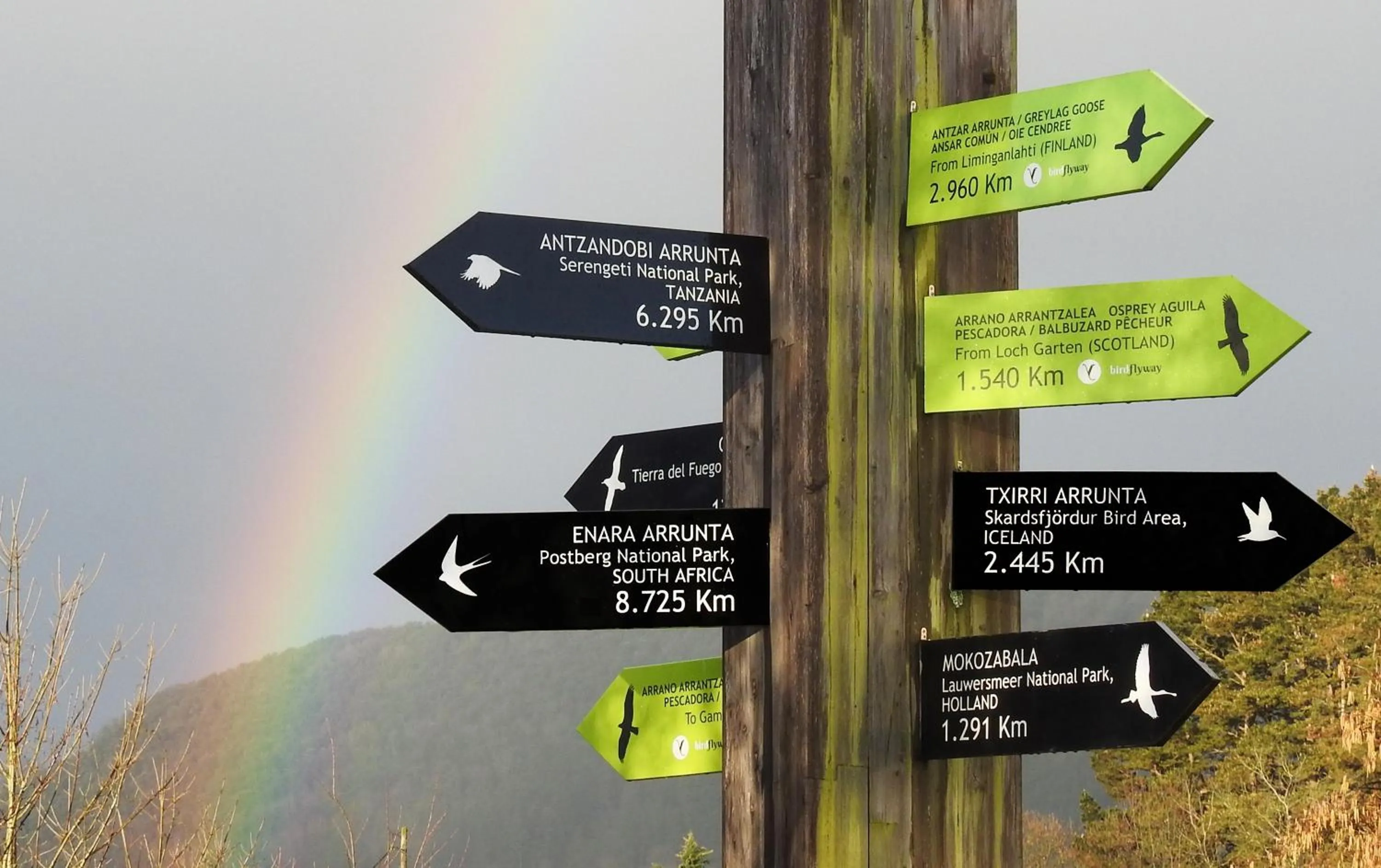 Off site in Urdaibai Bird Center