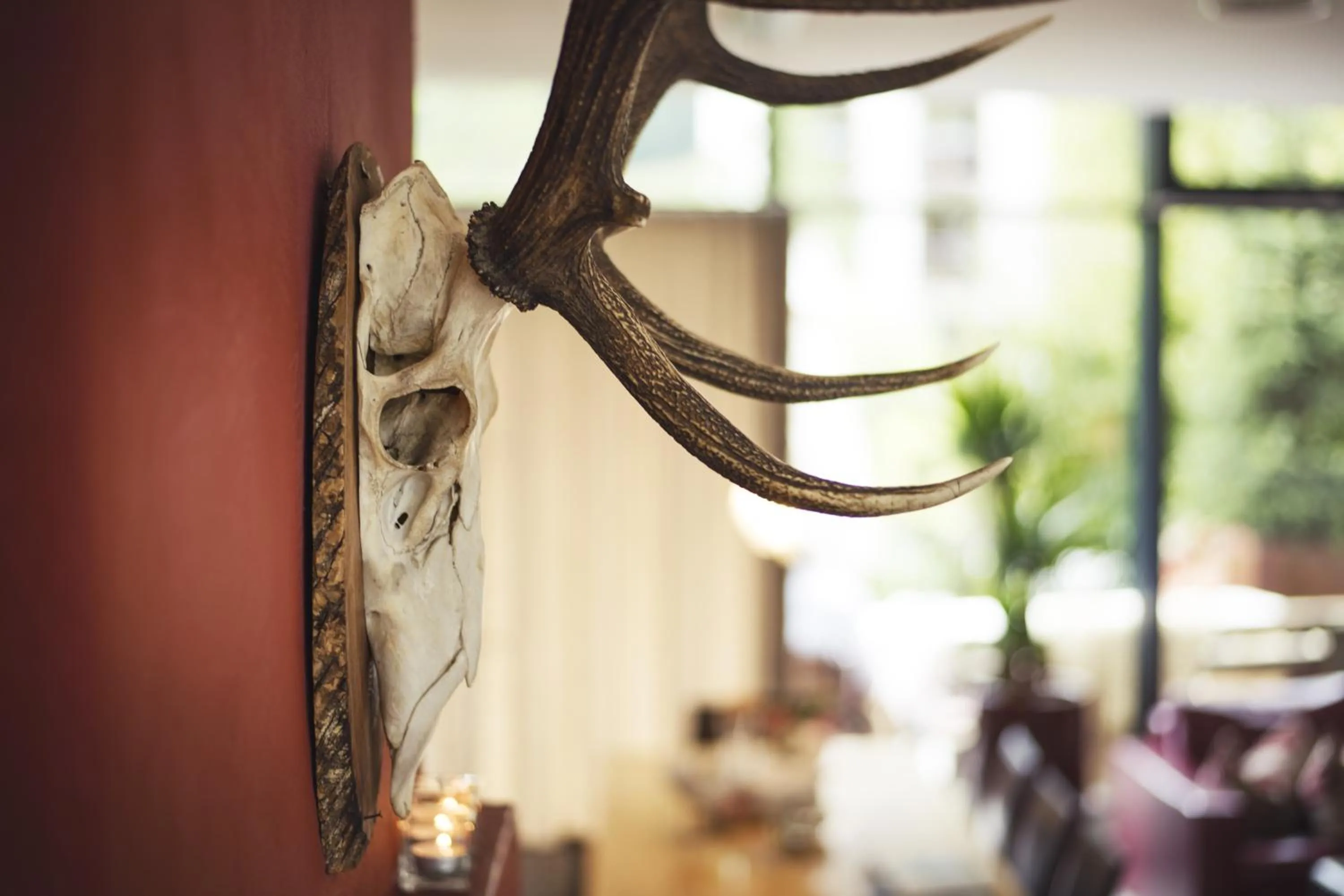 Decorative detail in Skihotel Galzig B&B