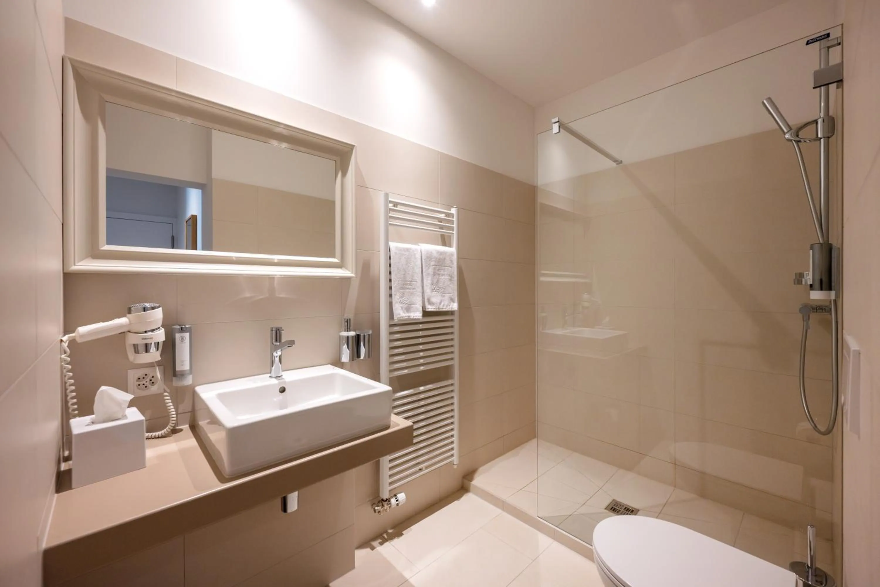 Bathroom in Hotel Edelweiss