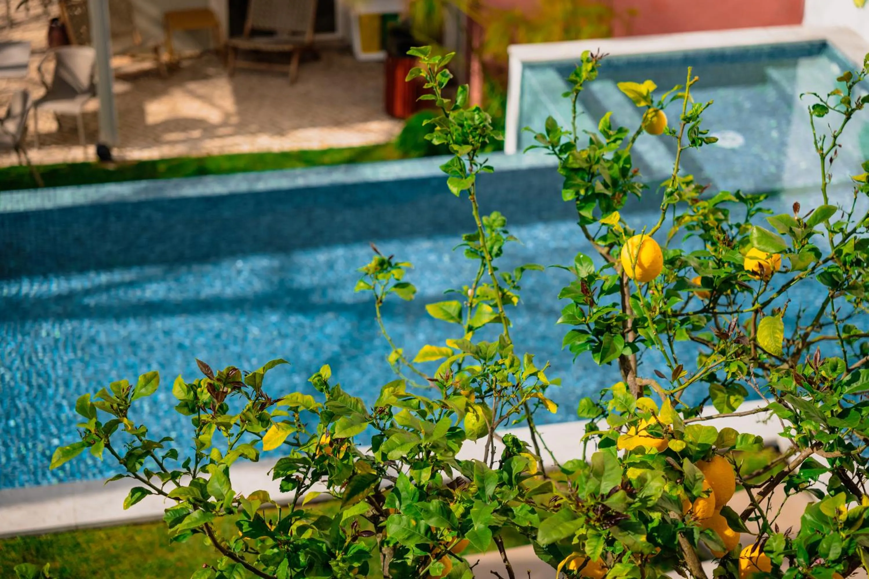 Property building in Jardim da Lapa by Shiadu