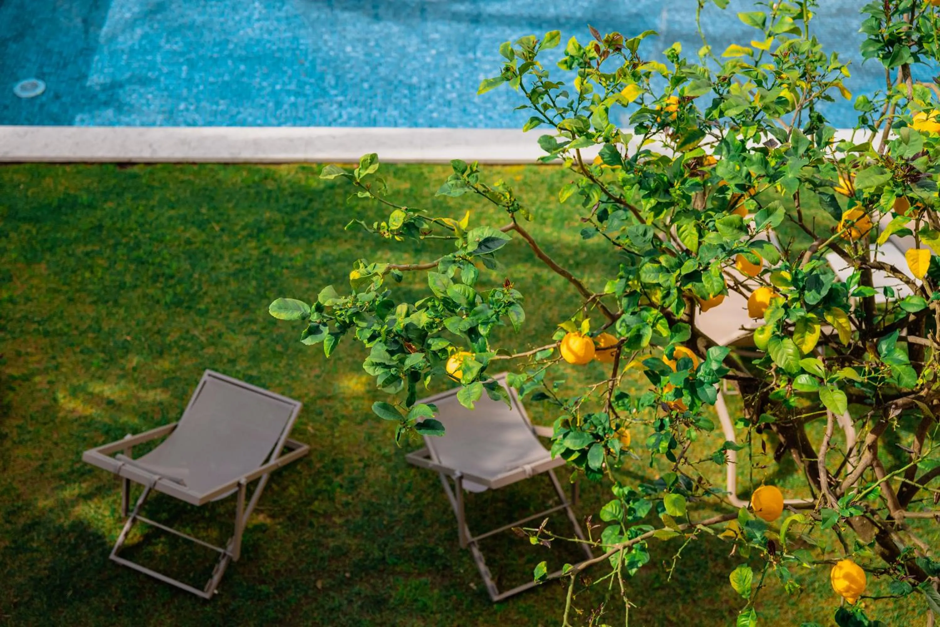 Property building in Jardim da Lapa by Shiadu