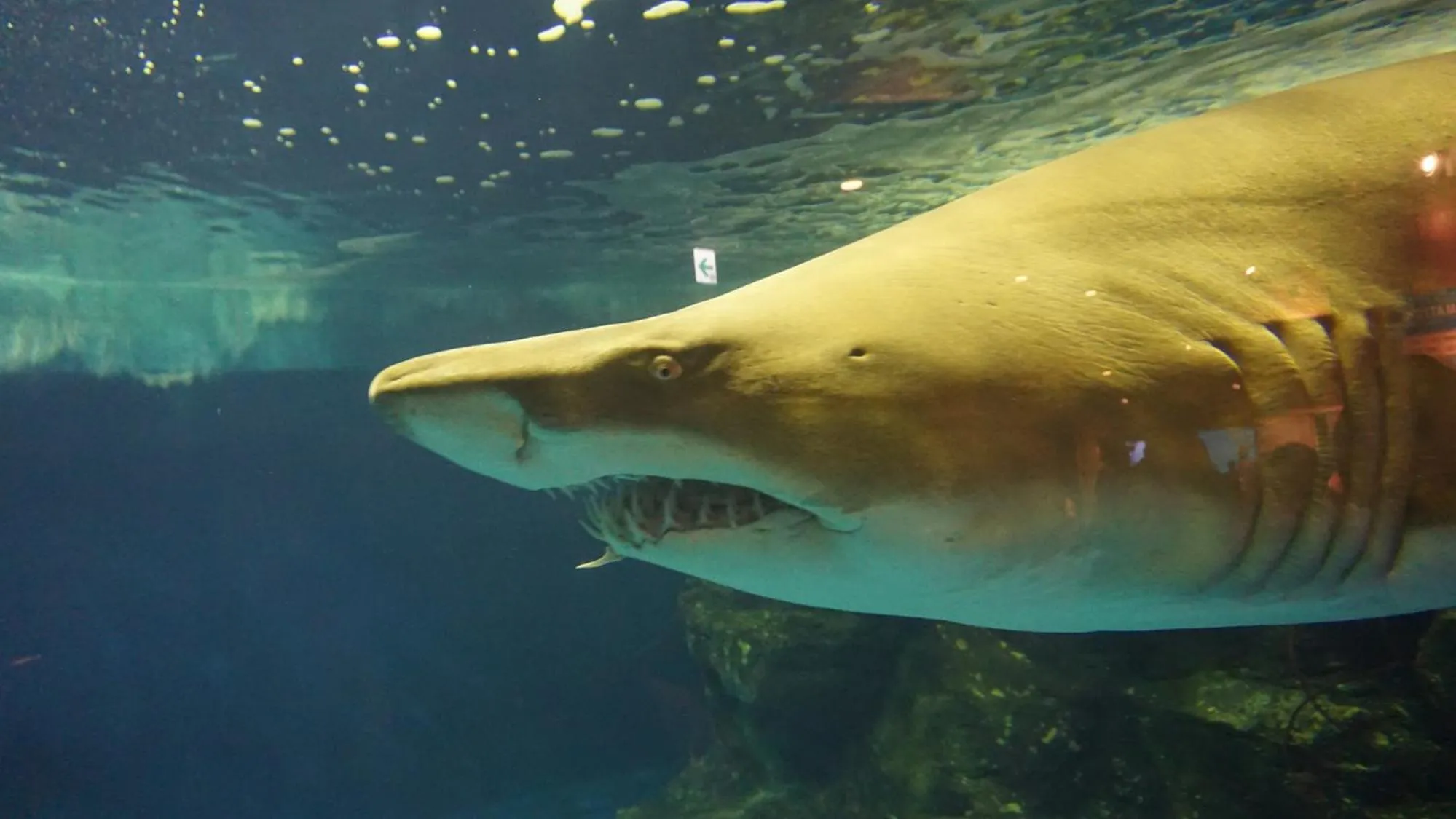 Nearby landmark in Toyoko Inn Tokyo Shinagawa Aomono-yokocho-eki
