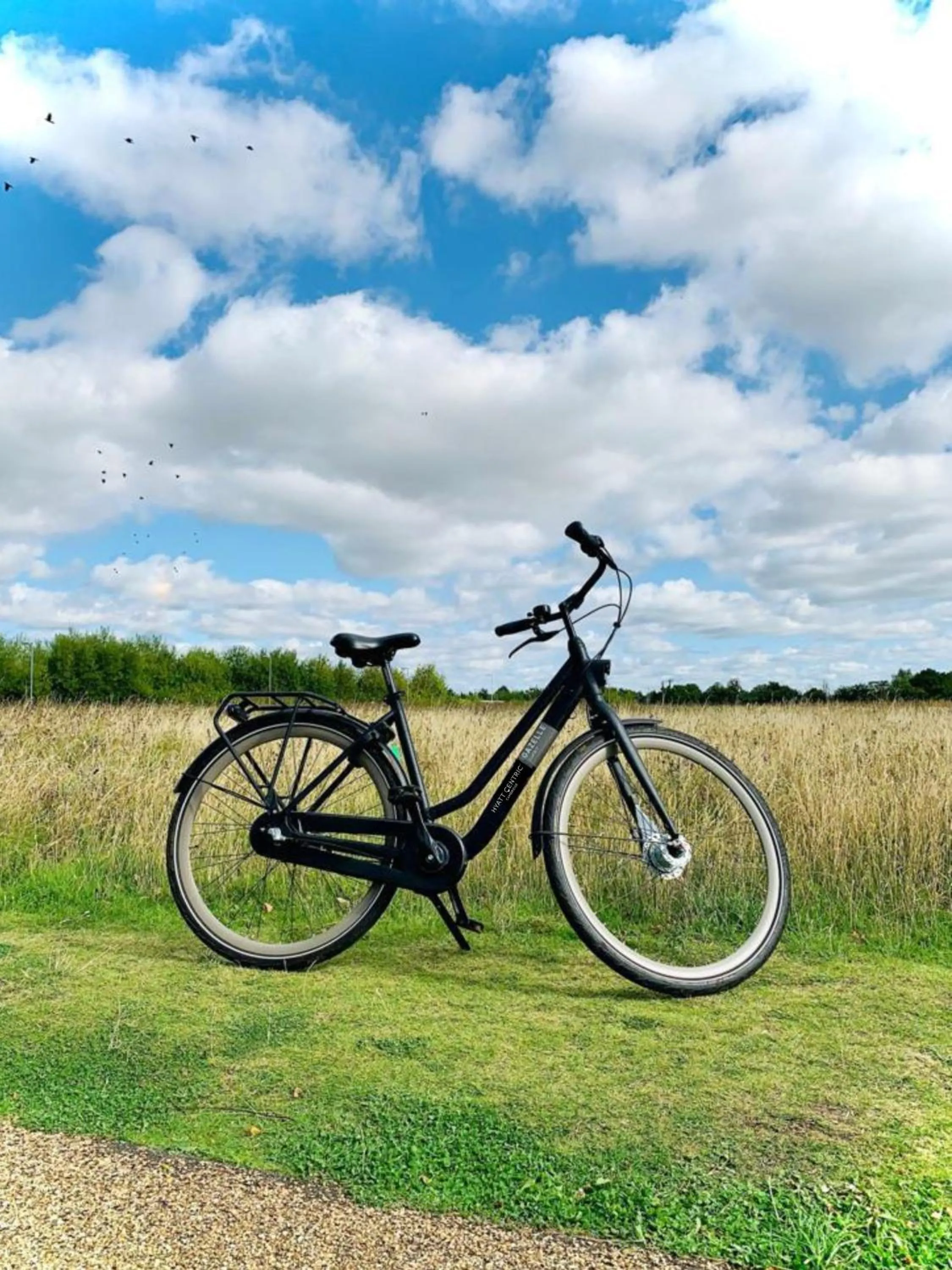 Cycling in Hyatt Centric Cambridge