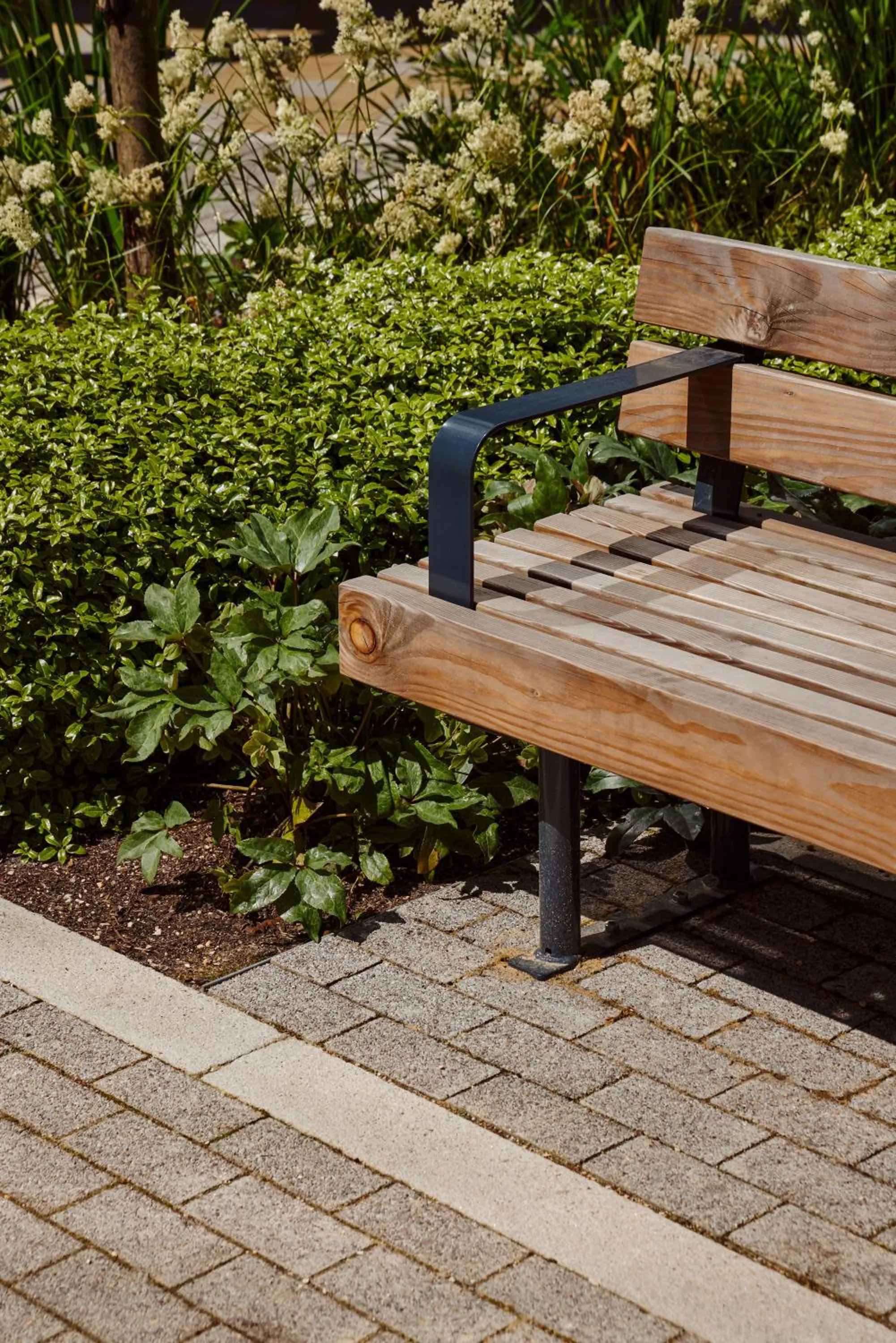 Garden in Hyatt Centric Cambridge