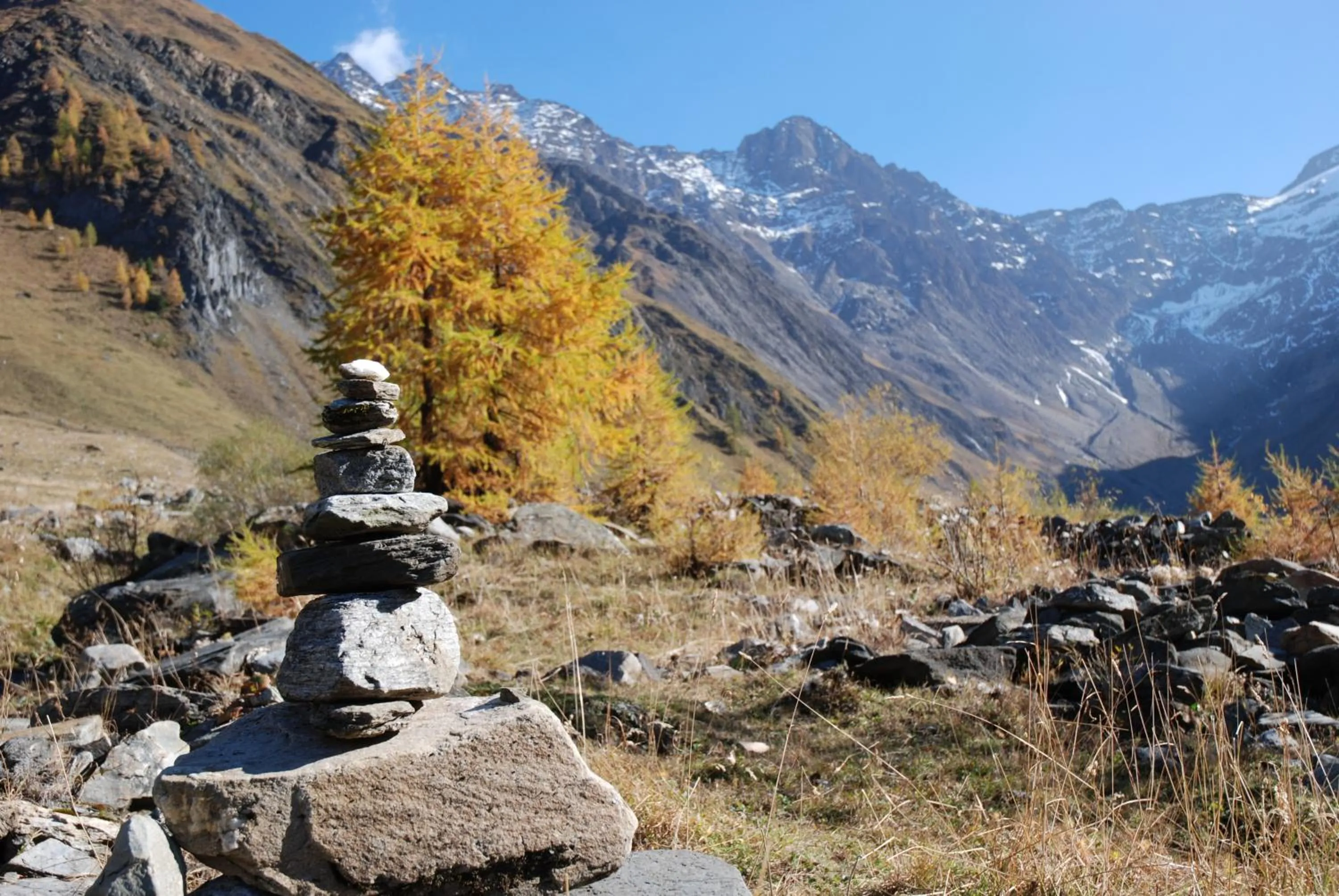 Natural landscape in Hotel Tenne