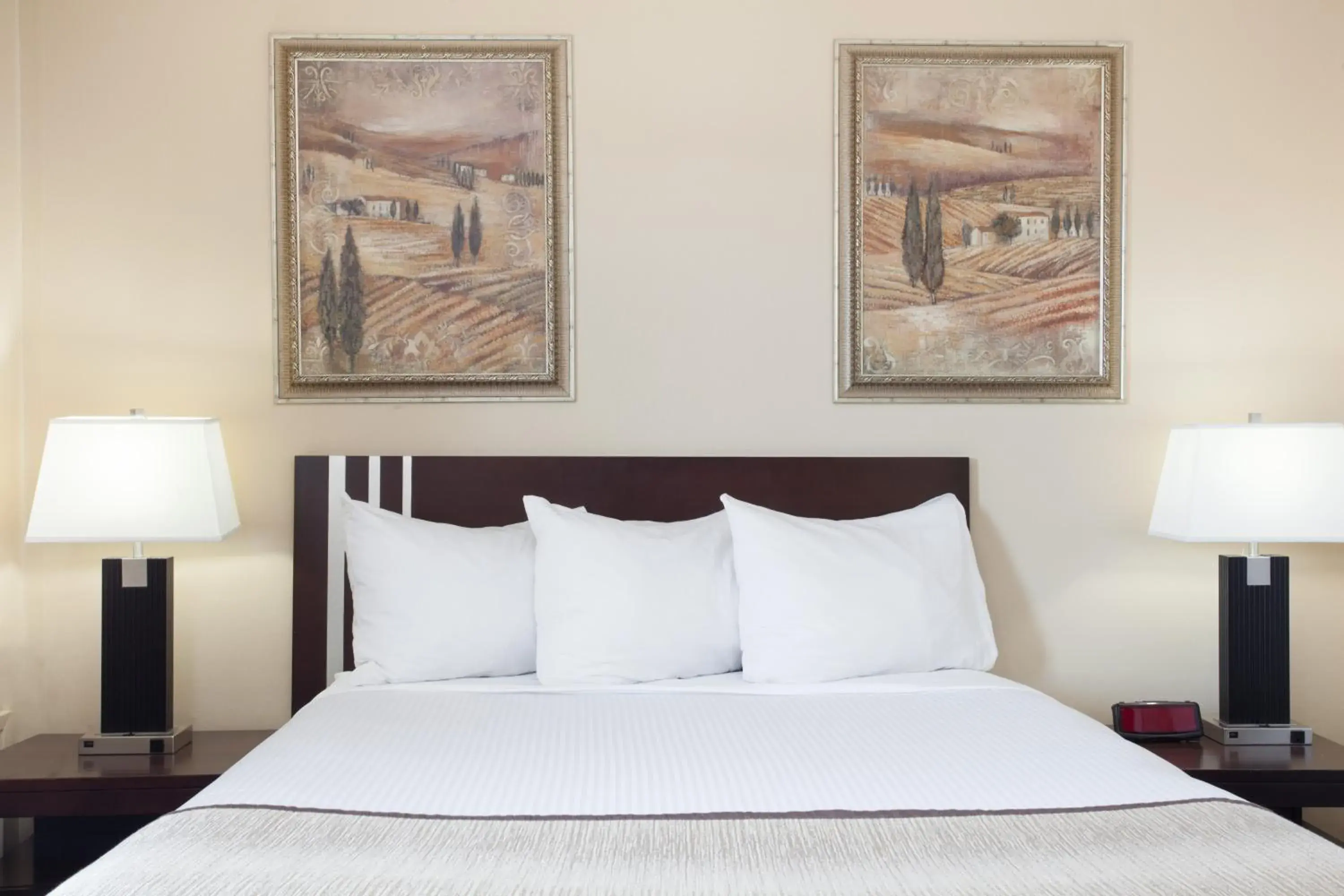 Standard Queen Room - Non Smoking in Econo Lodge Inn & Suites Standard Queen Room - Non Smoking in Econo Lodge Inn & Suites