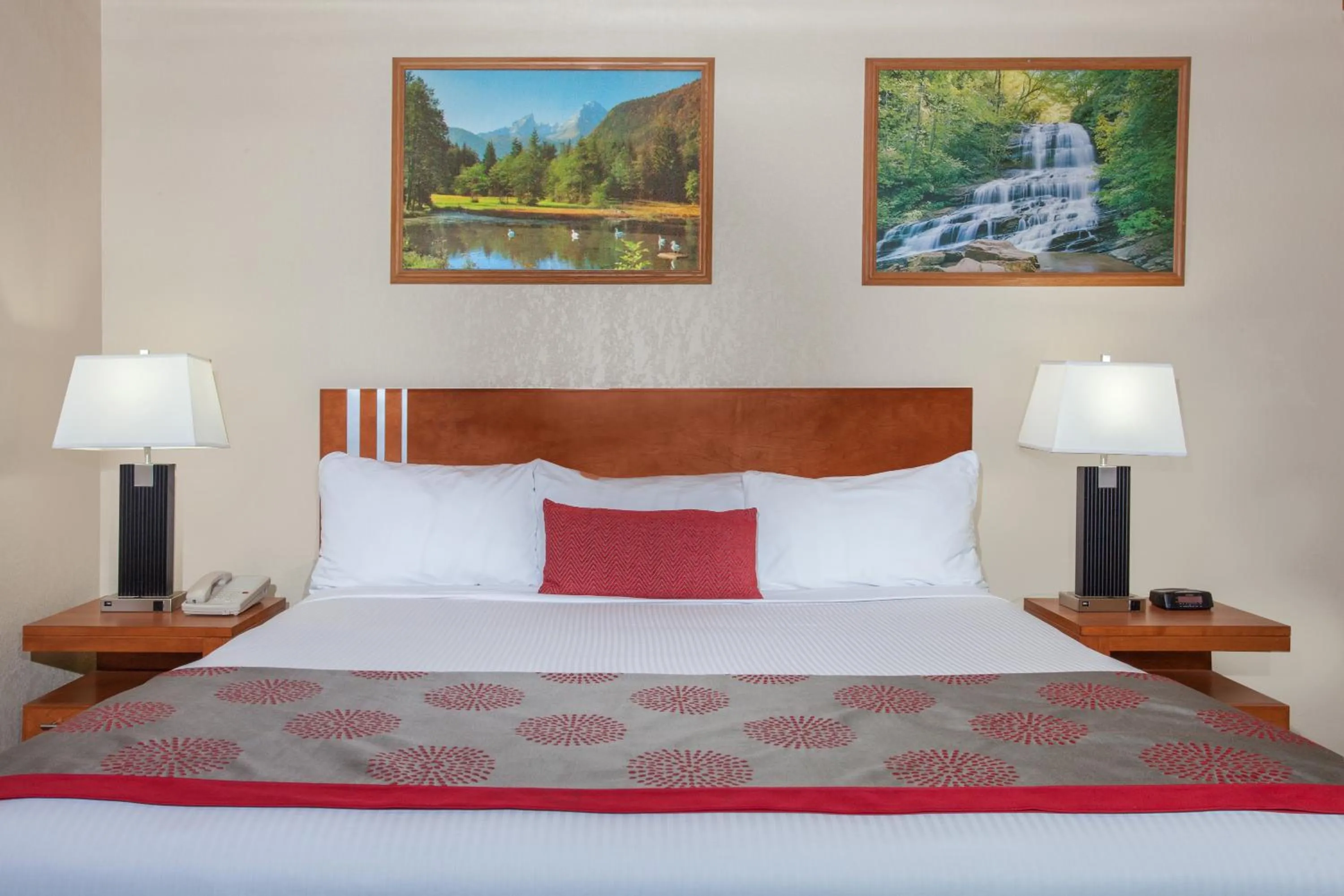 Bedroom, Bed in Econo Lodge Inn & Suites