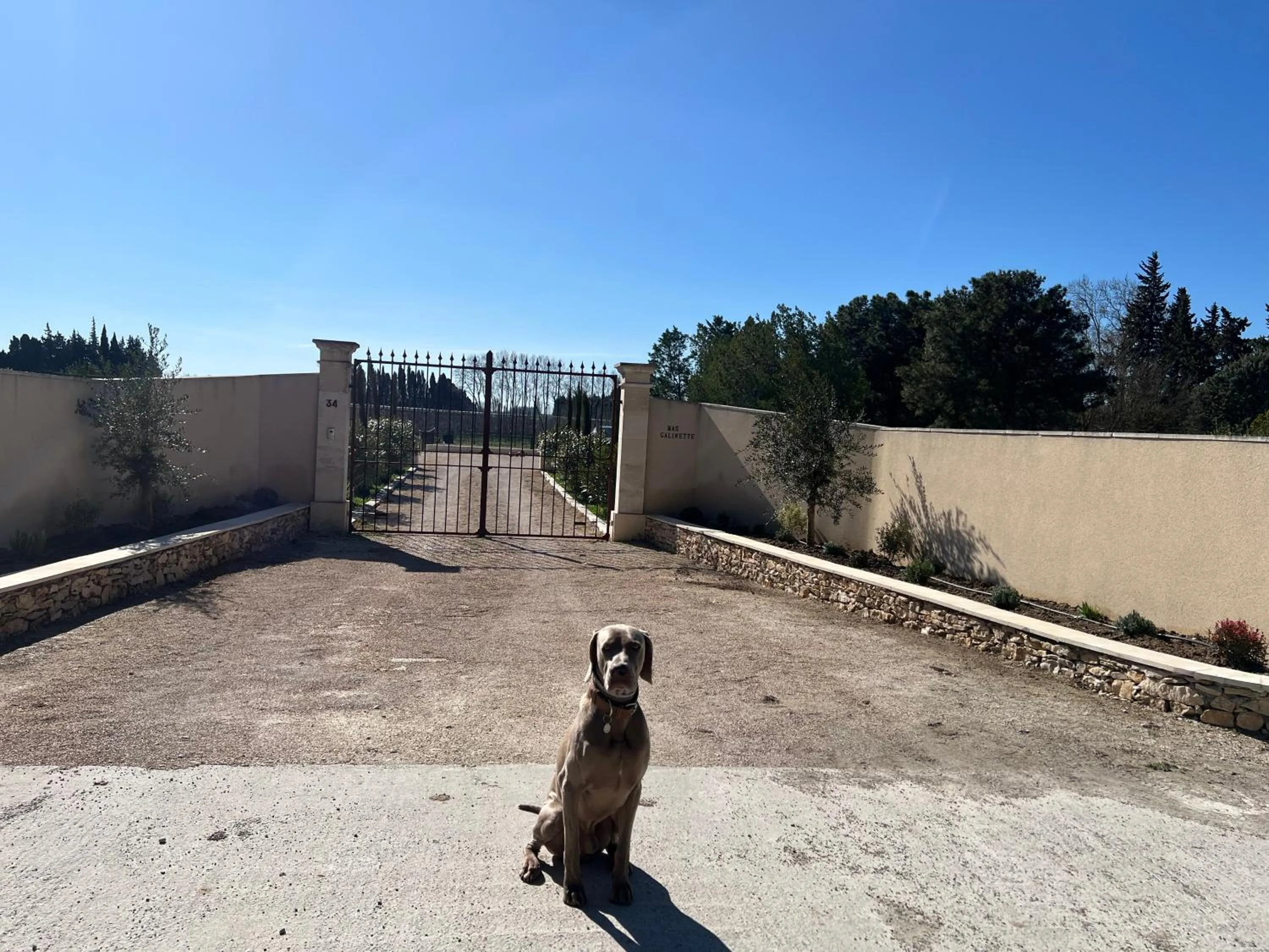 Pets in Mas Galinette