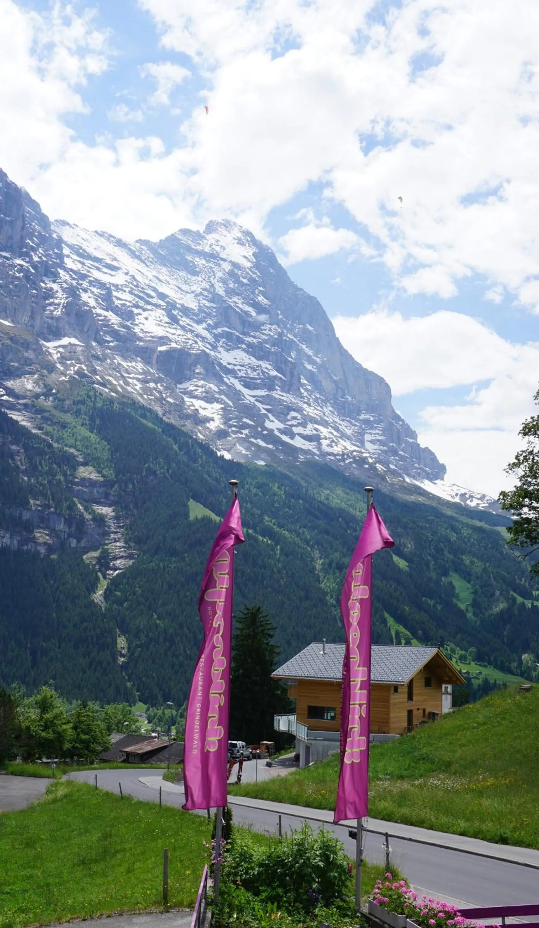 Mountain view in Hotel Alpenblick