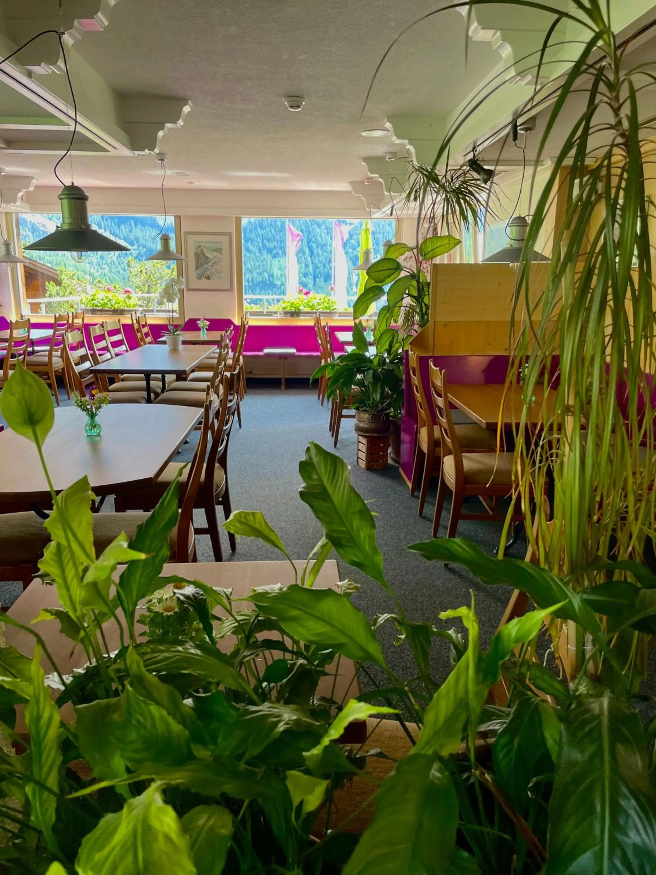 Restaurant/places to eat in Hotel Alpenblick