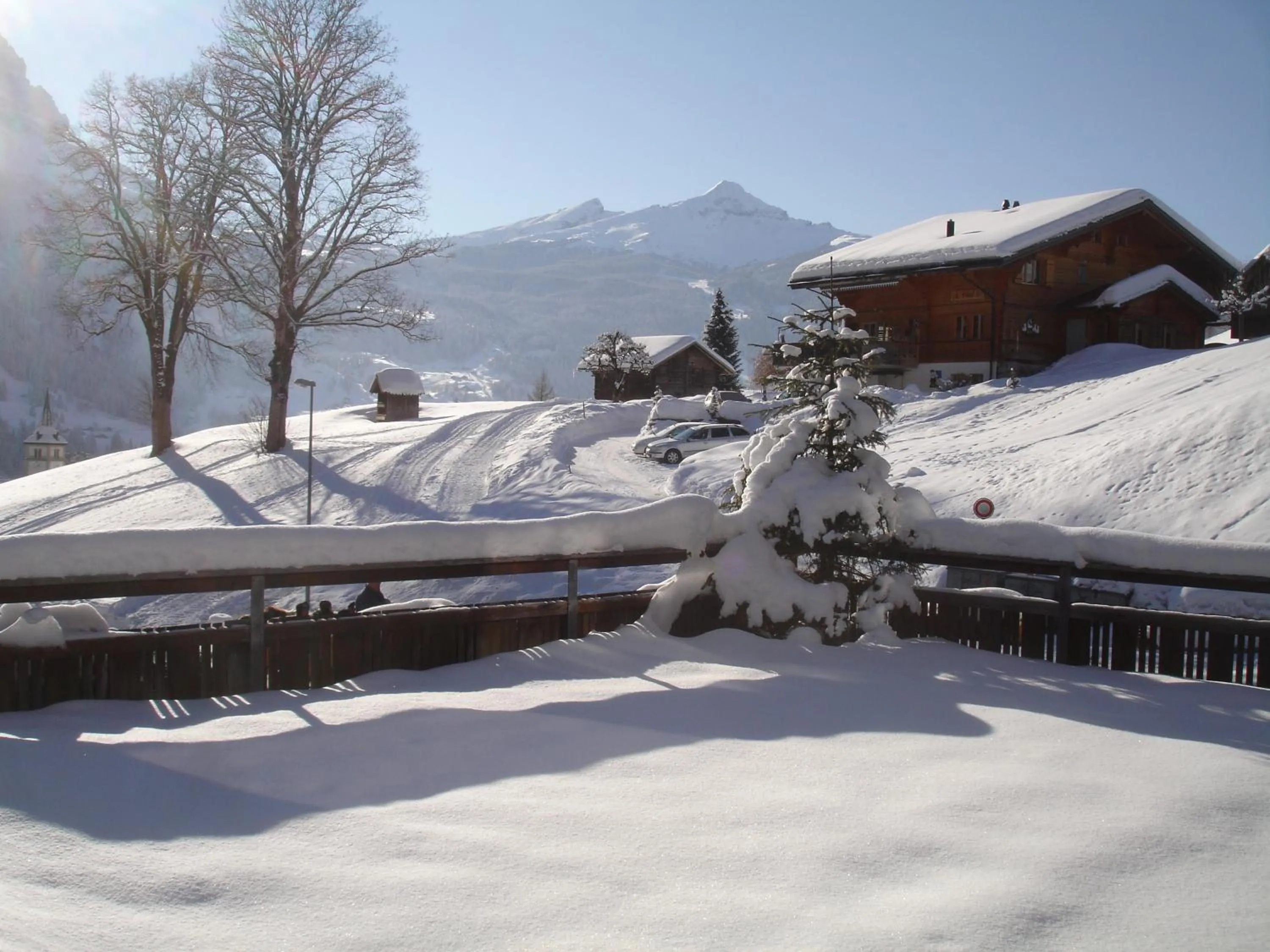 Facade/entrance in Hotel Alpenblick