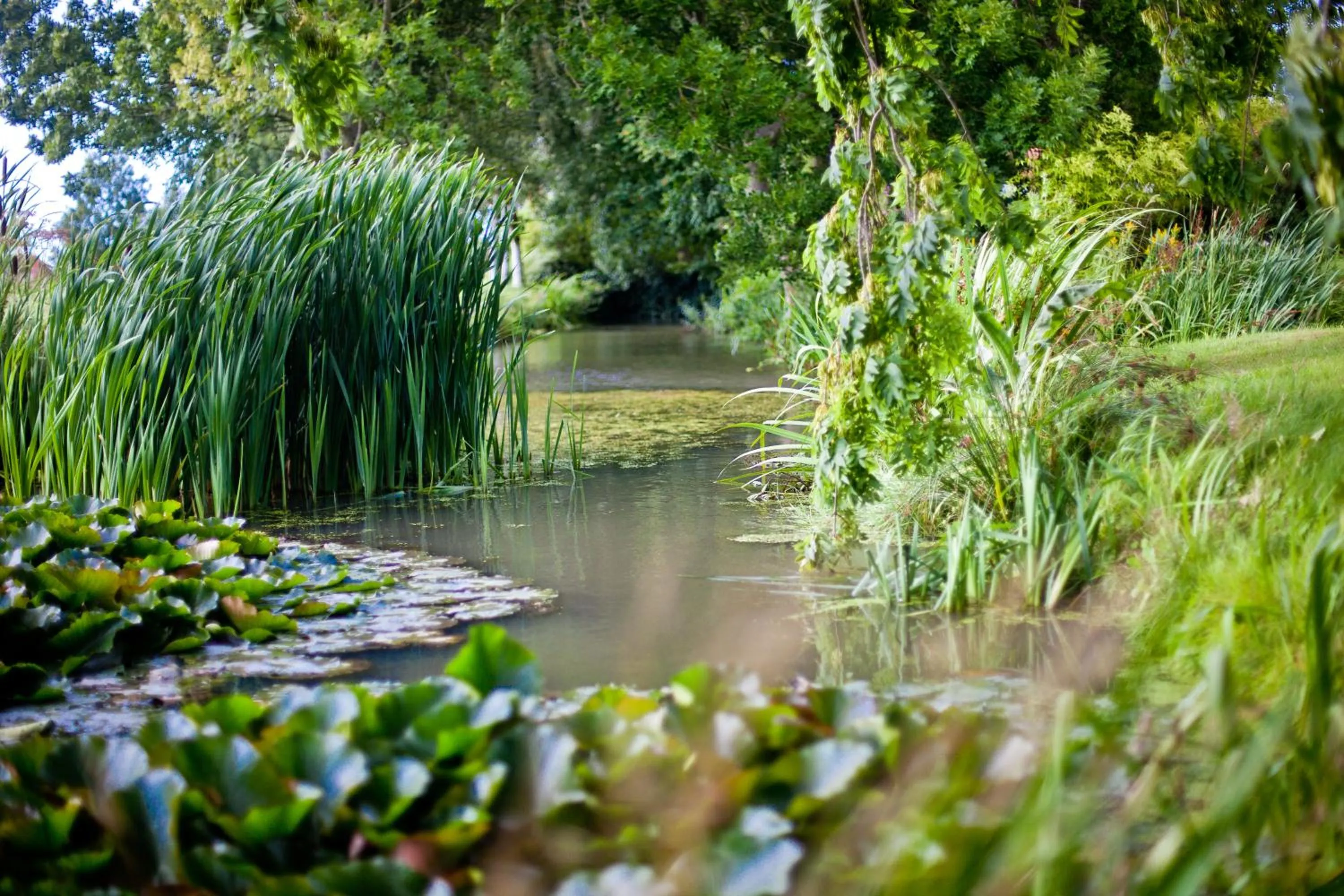 Garden in Hotel Landhaus Steinfeld