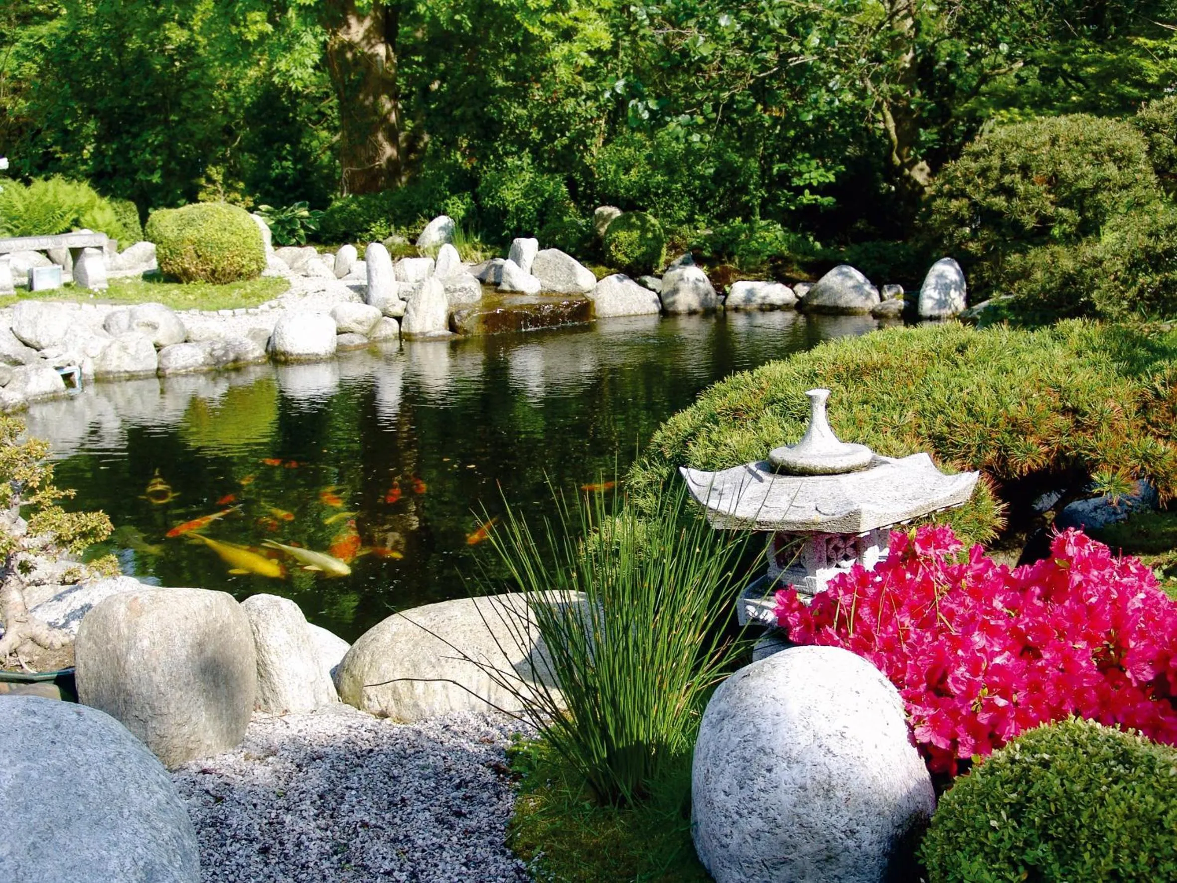 Garden in Hotel Landhaus Steinfeld
