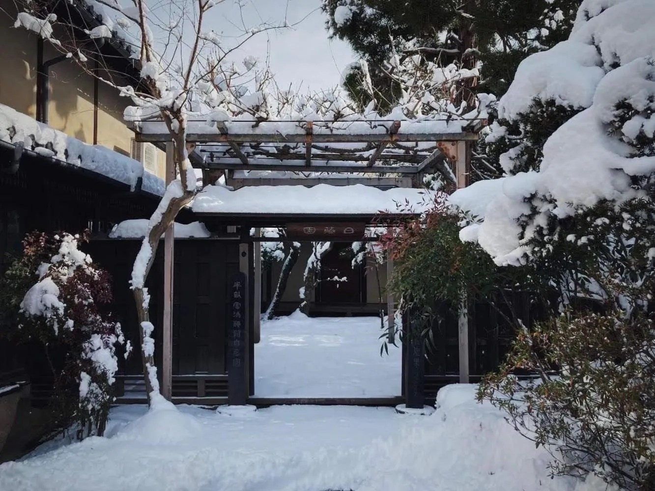 Winter in Shirafuji