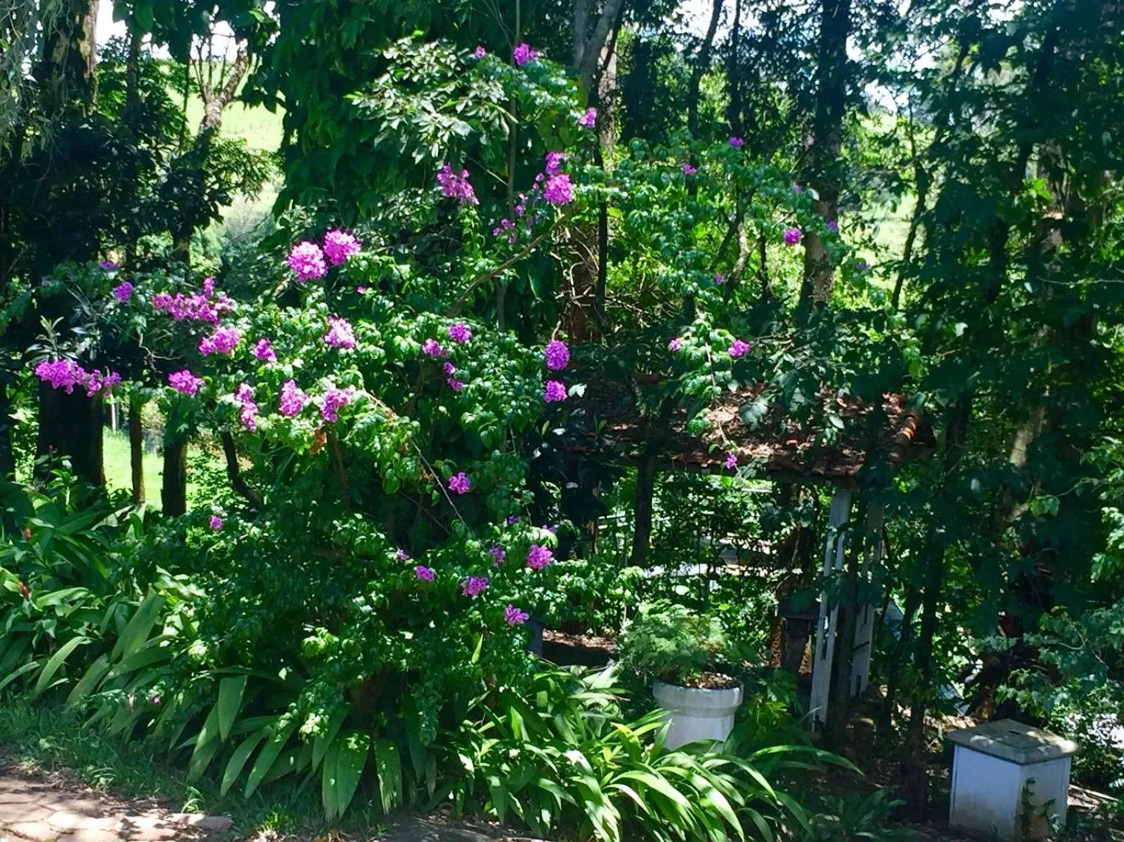 Garden in Hotel Fazenda Colina