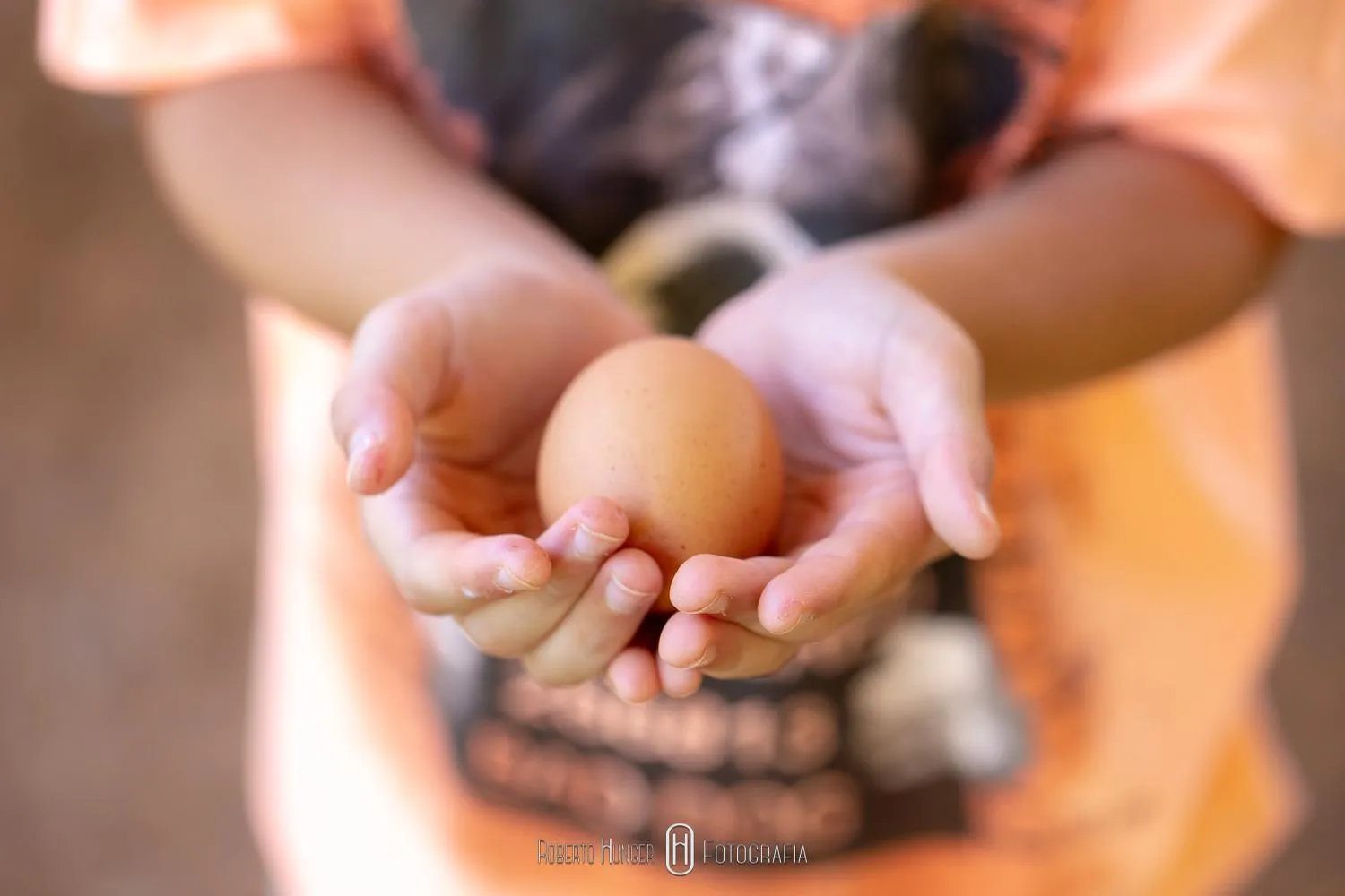 Hotel Fazenda Colina