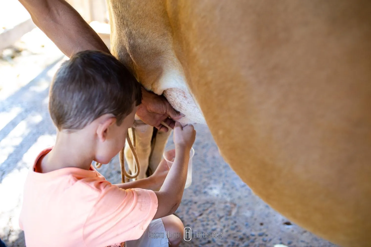 Hotel Fazenda Colina