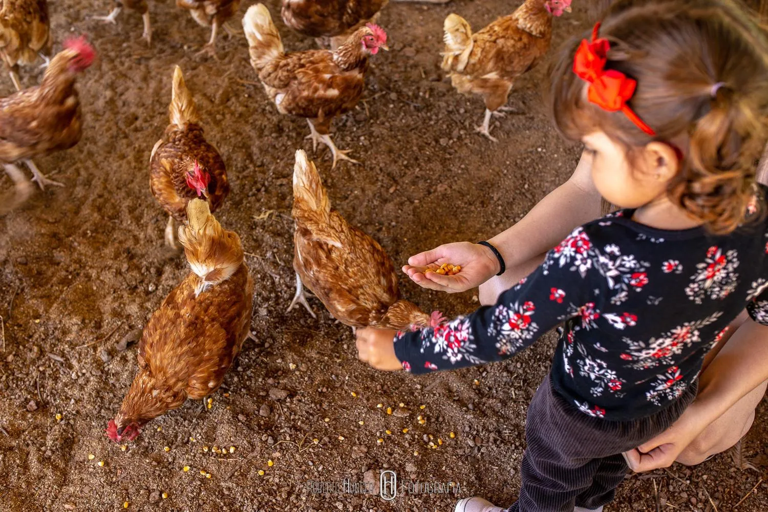 Hotel Fazenda Colina