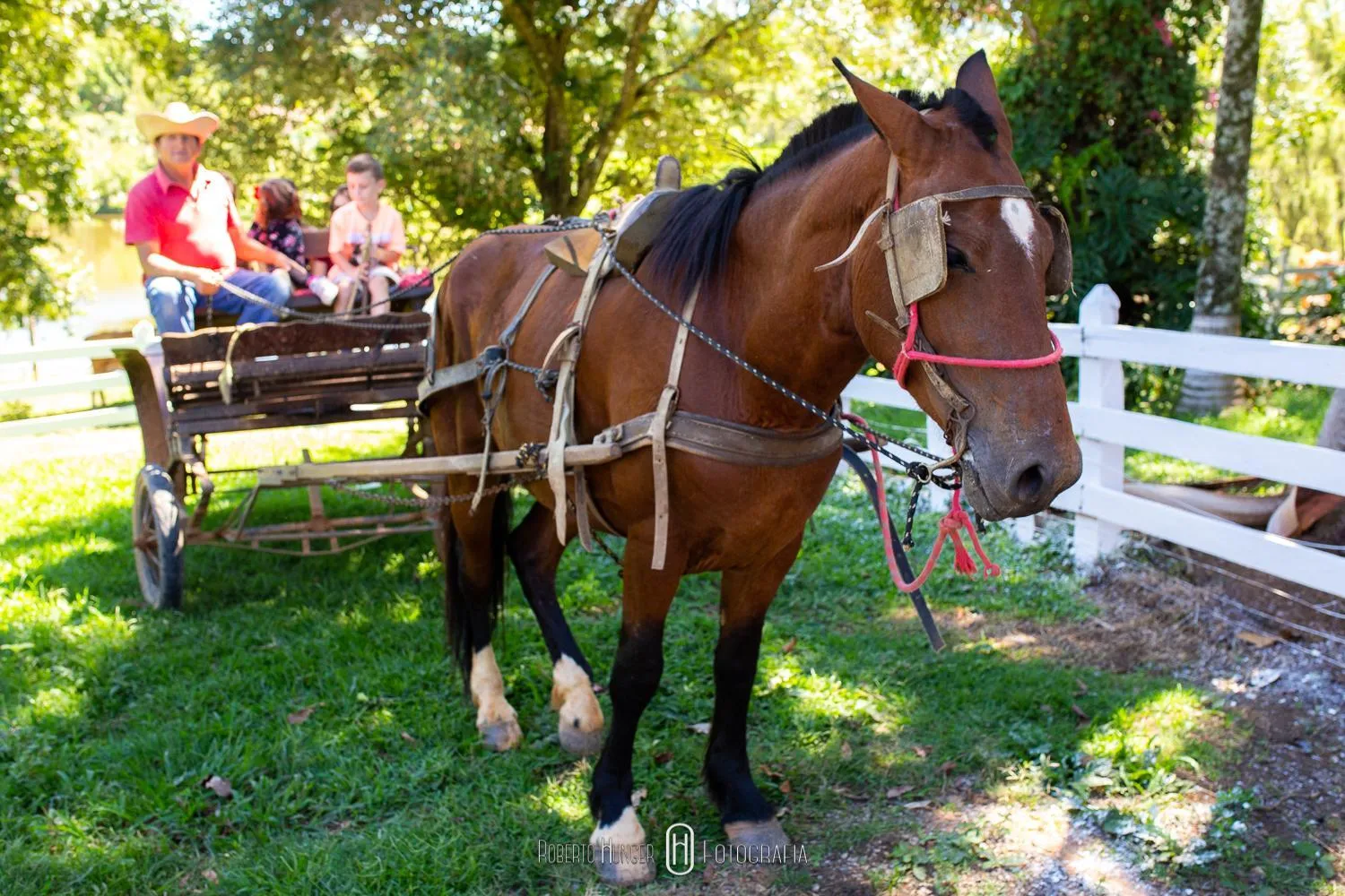 Hotel Fazenda Colina