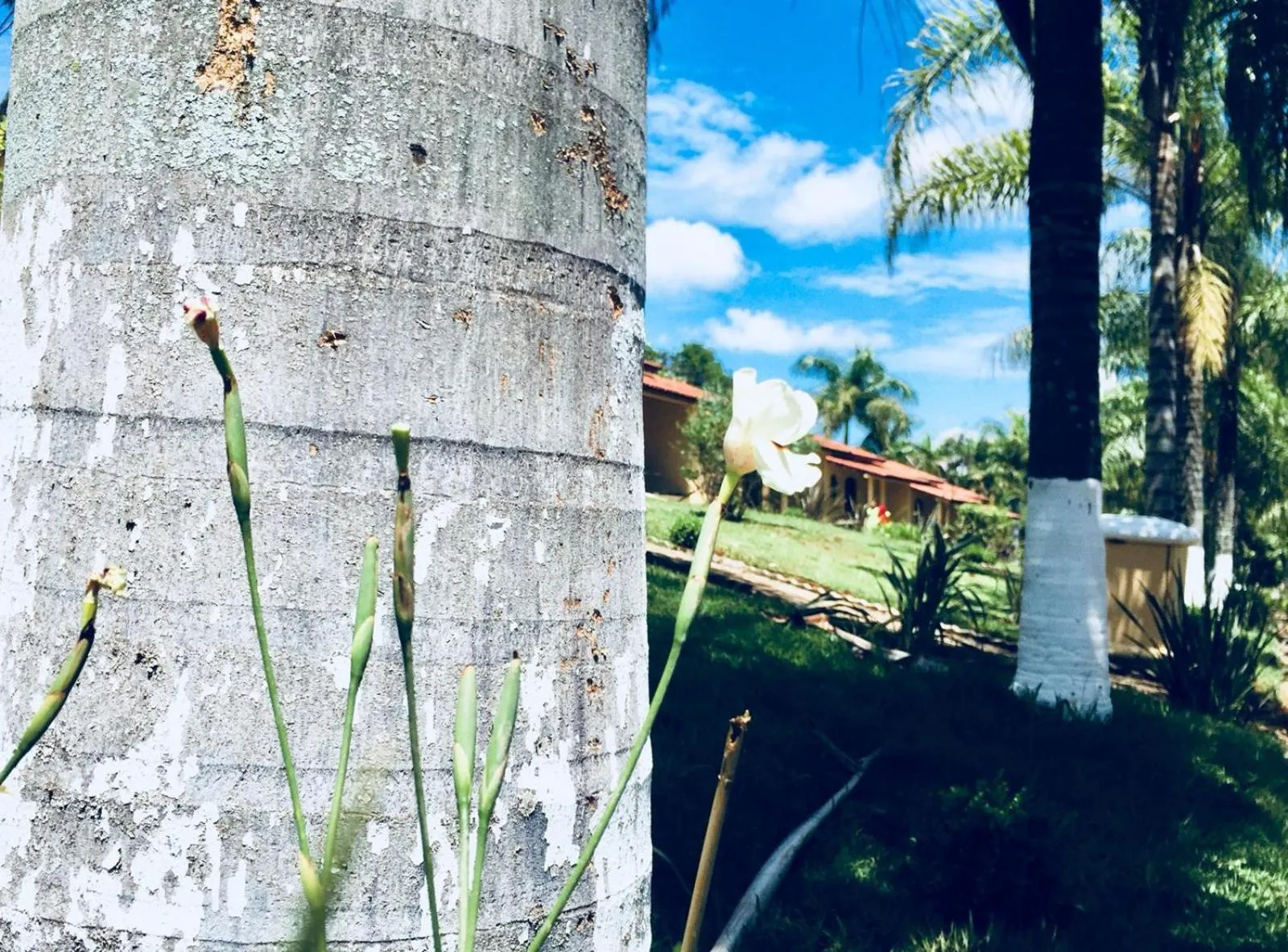 Garden in Hotel Fazenda Colina