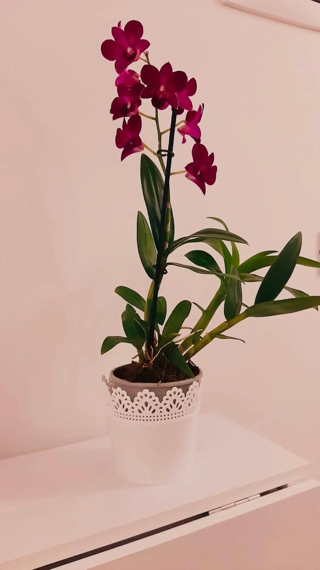 Mare all'Arco Casa Vacanze