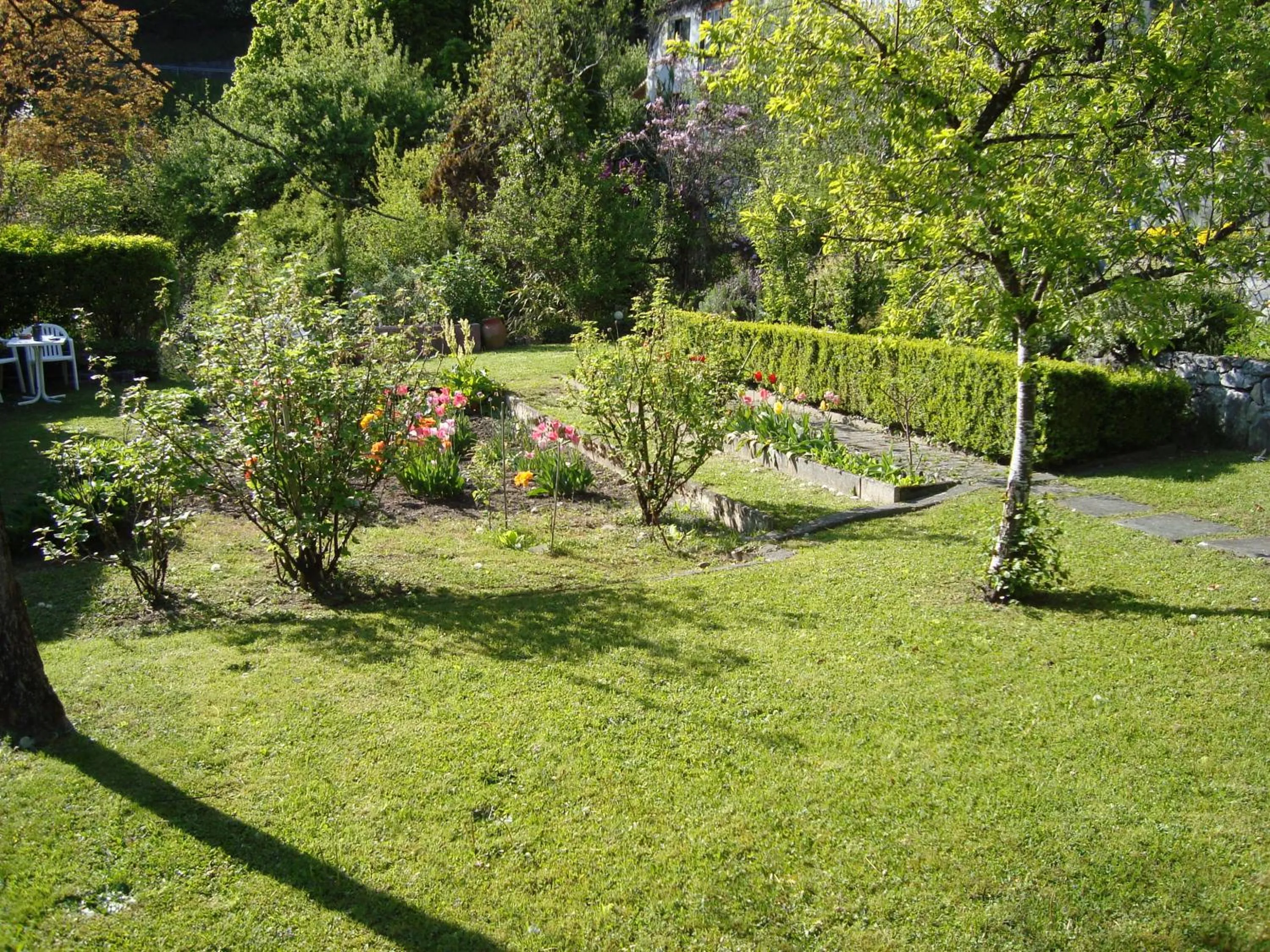 Garden in Hotel Beatus