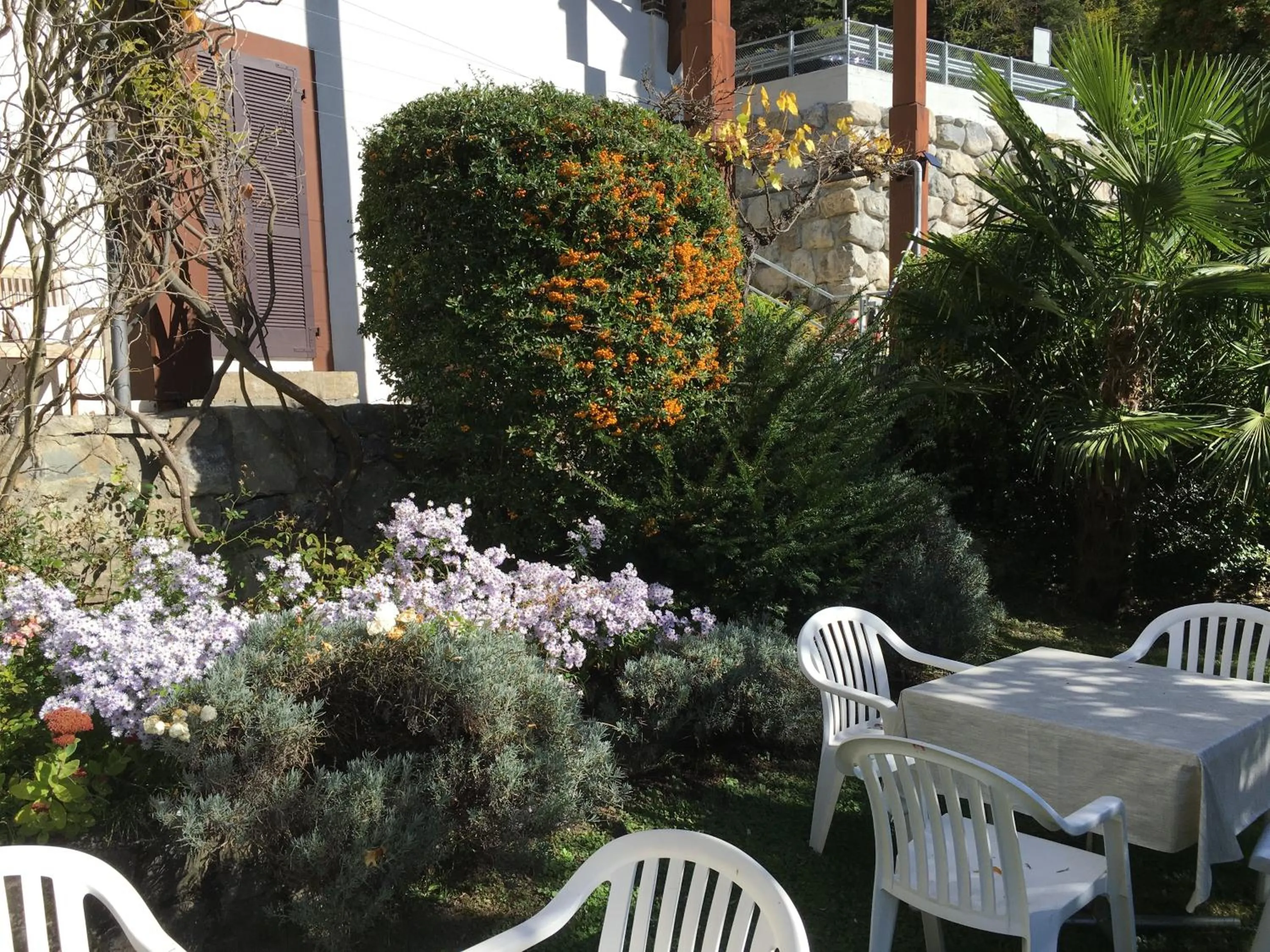 Garden in Hotel Beatus