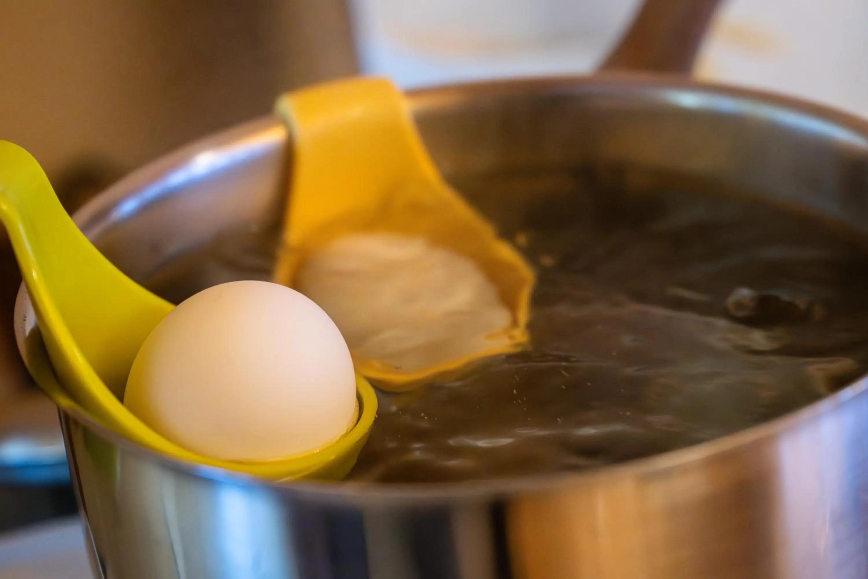 Breakfast in Sport-Lodge Klosters