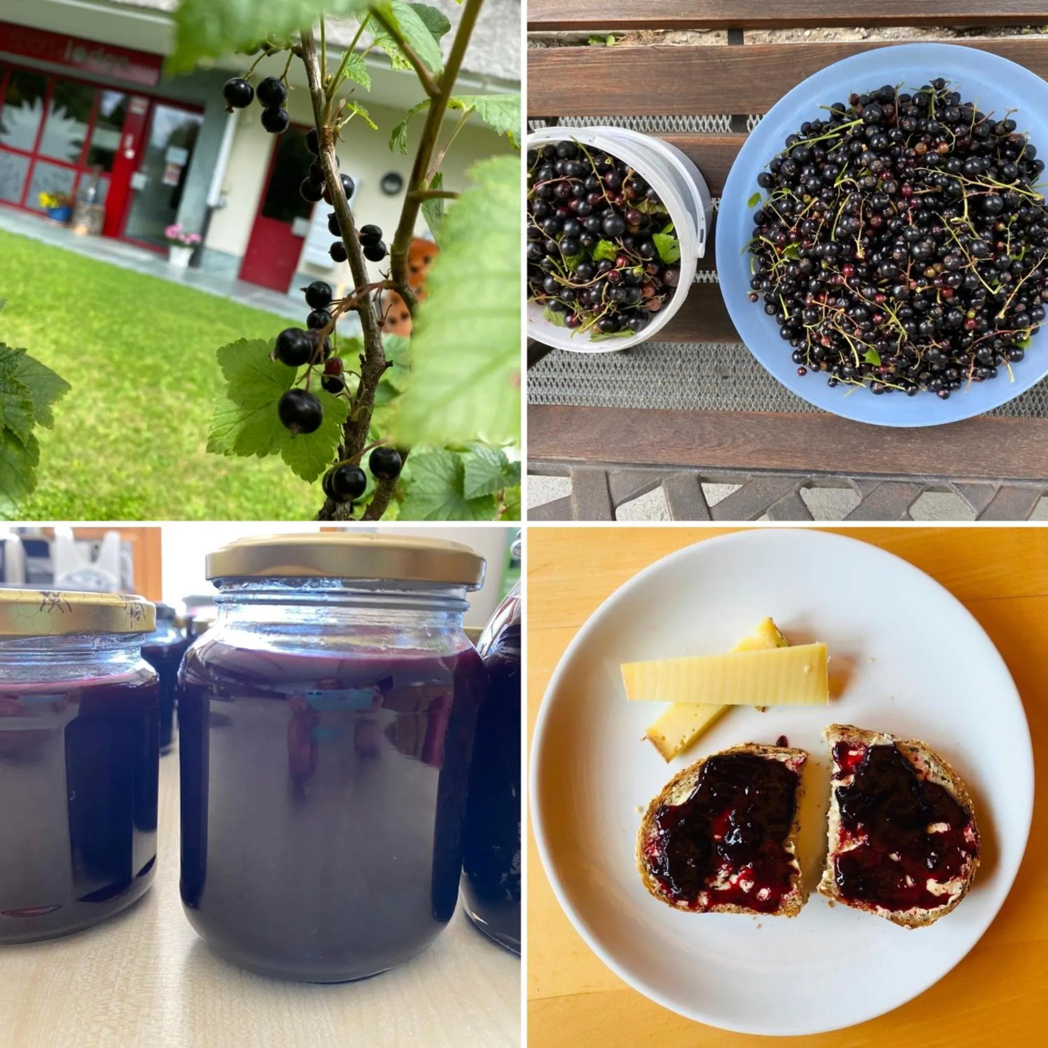 Food close-up in Sport-Lodge Klosters